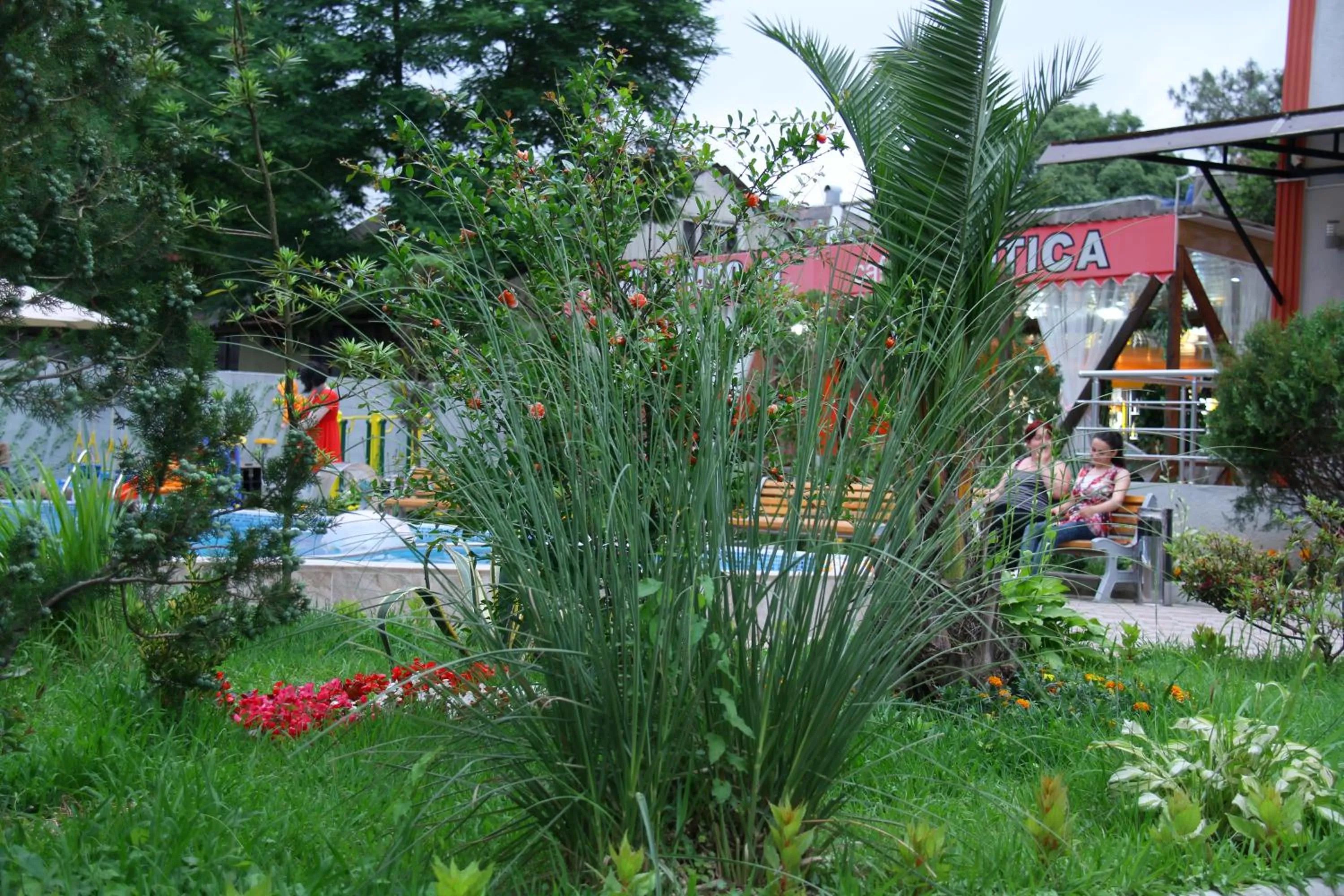 Garden in Hotel Exotica