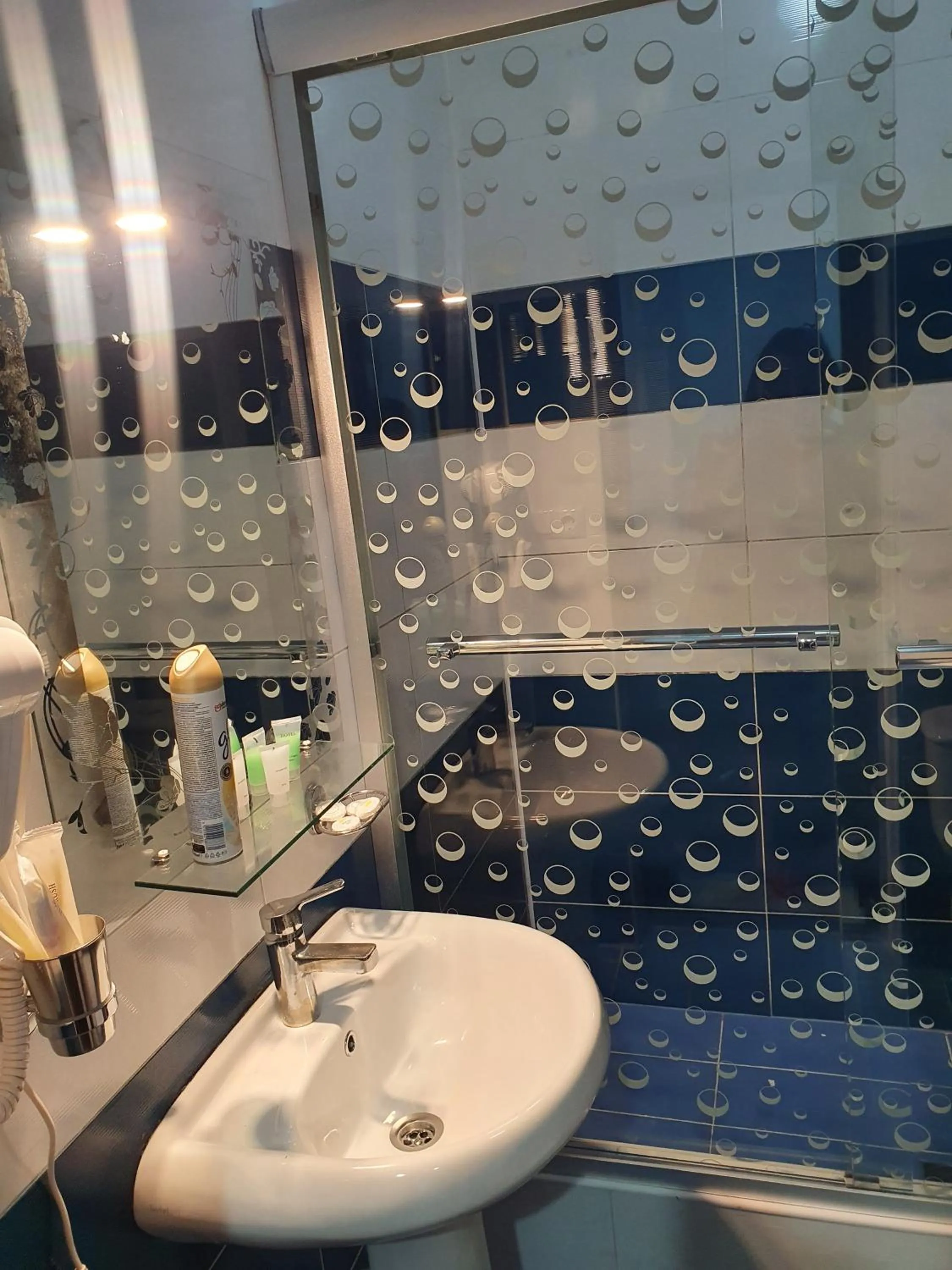 Bathroom in Hotel Exotica