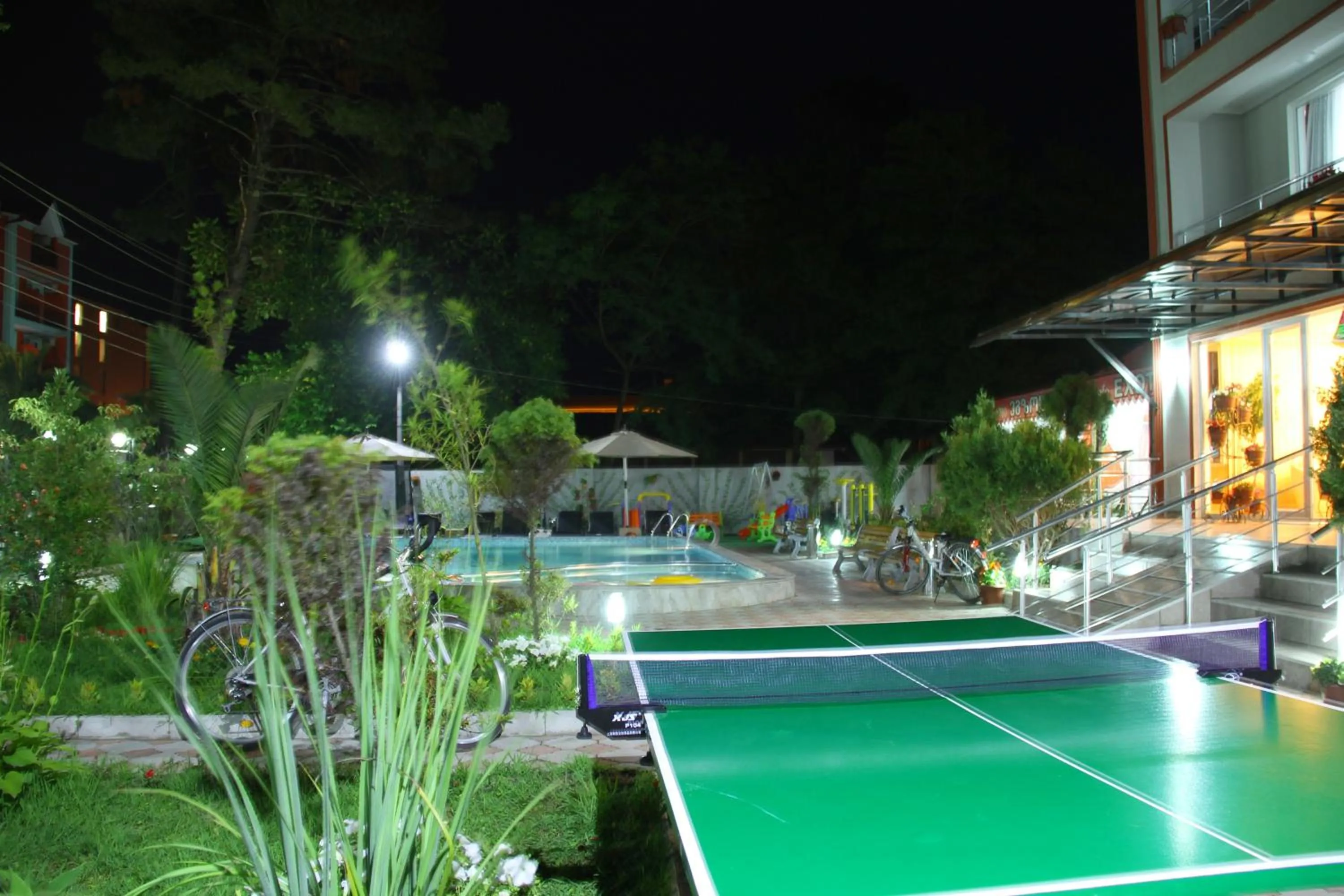 Table tennis in Hotel Exotica