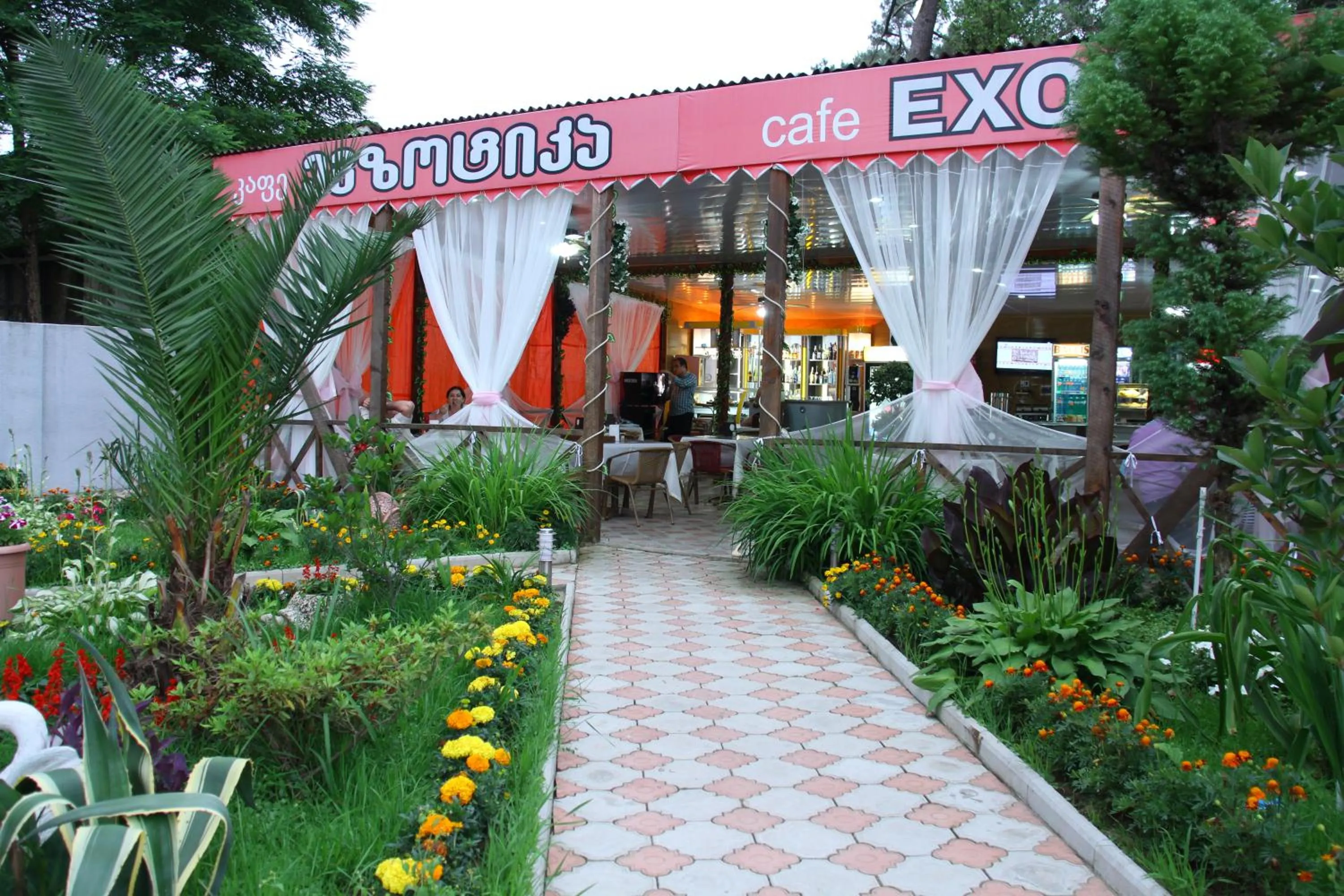 Garden in Hotel Exotica