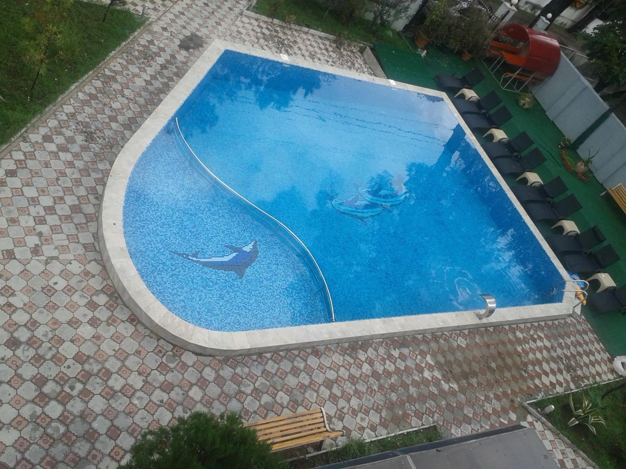 Swimming pool in Hotel Exotica