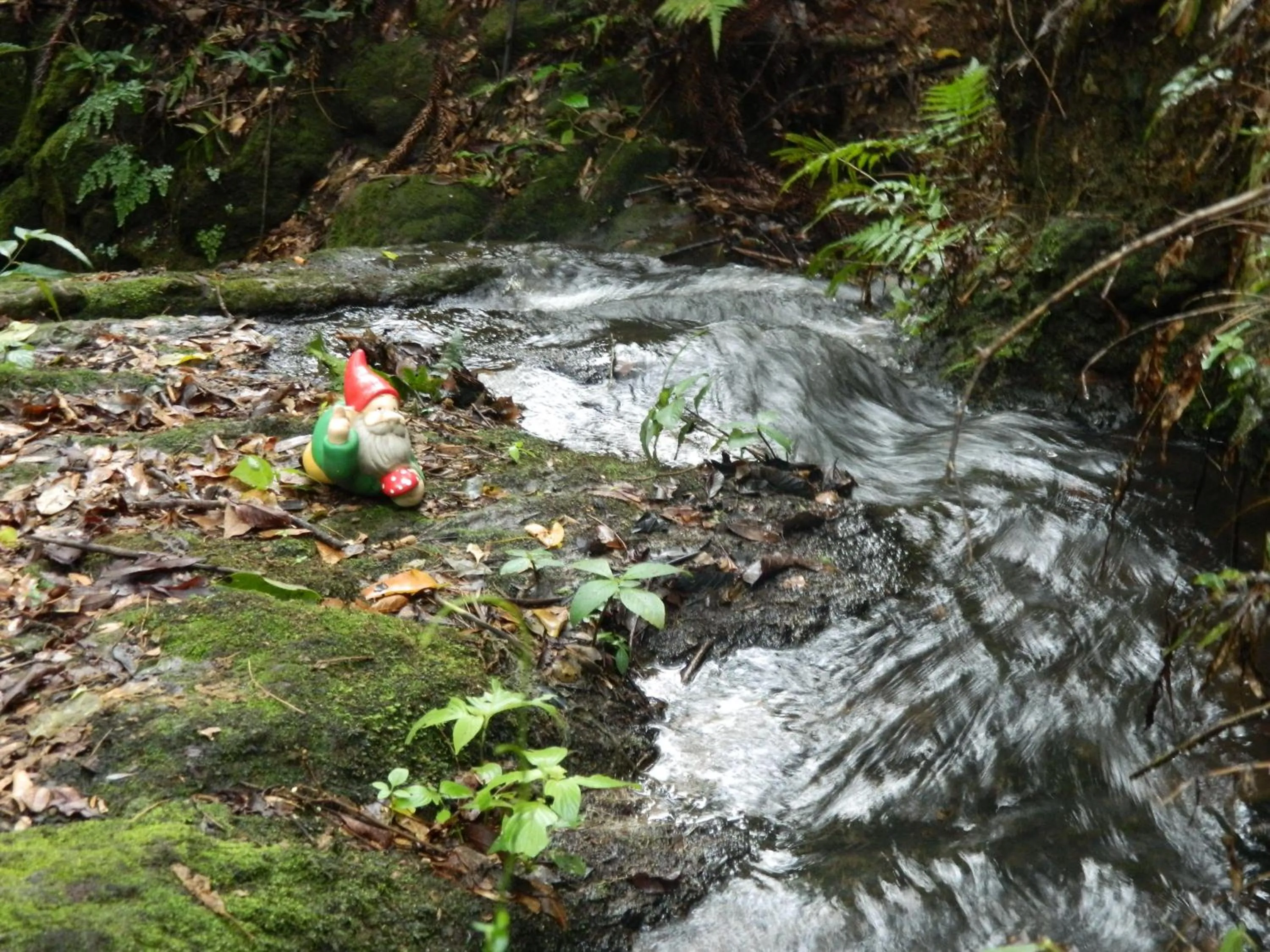 Activities in Pousada Lua e Sol