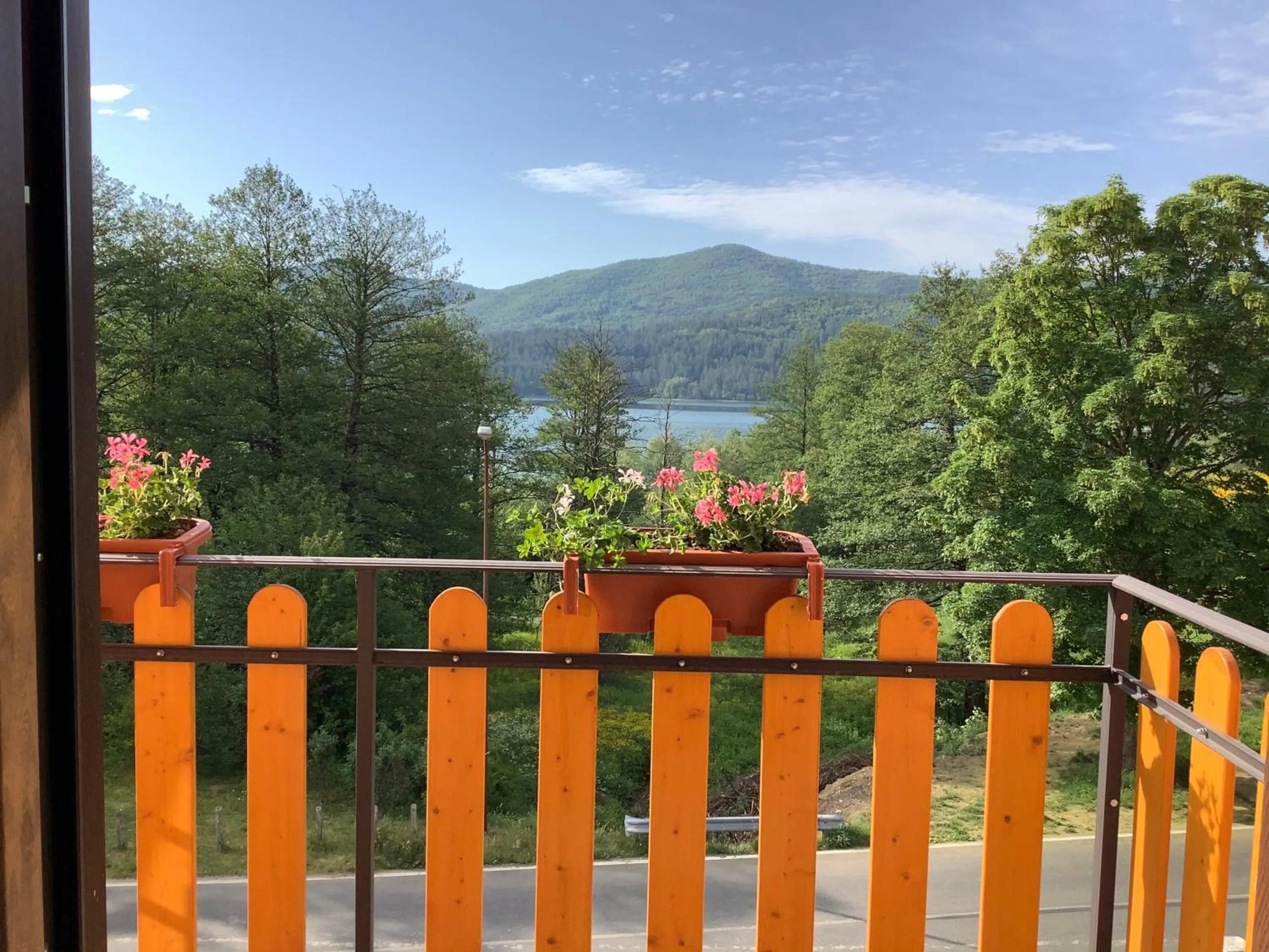 Natural landscape in Arvo Residence Sila Lorica