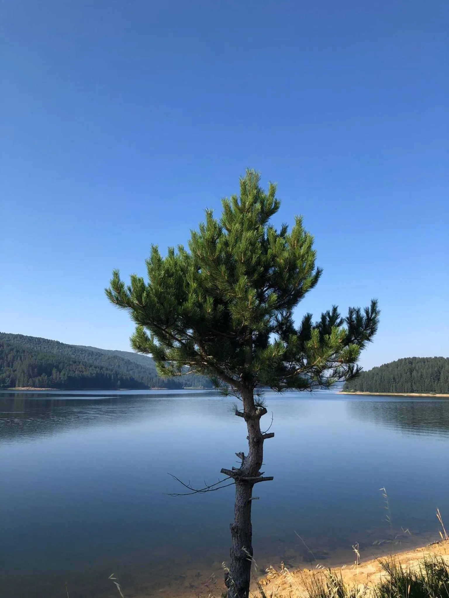 Natural landscape in Arvo Residence Sila Lorica