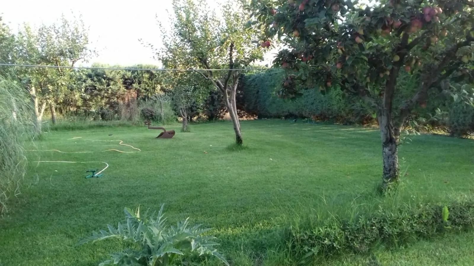 Garden in Al dolce dormire