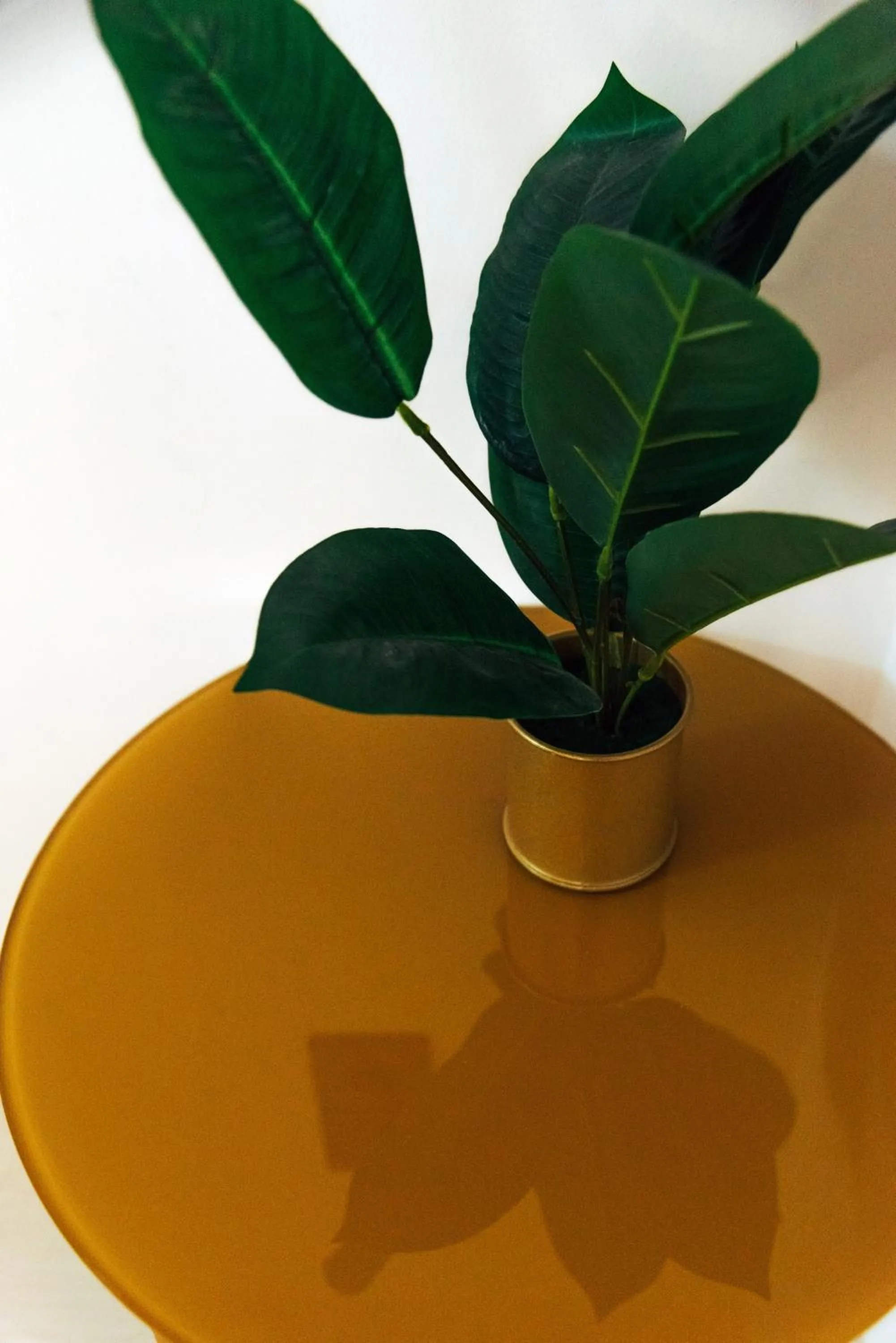 Decorative detail in Victoria's Suites Corfu