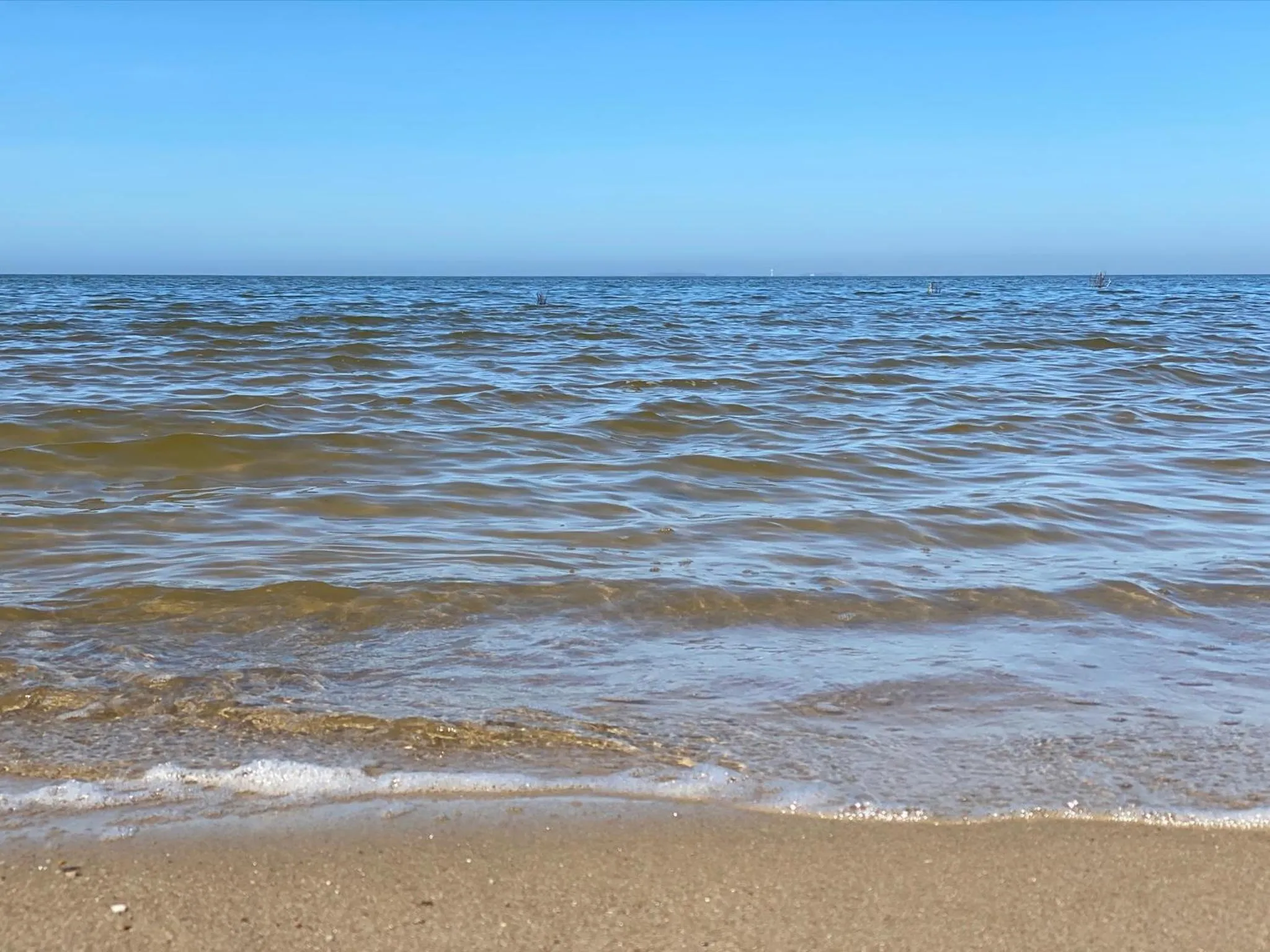 Natural landscape in Hotel Strandhus