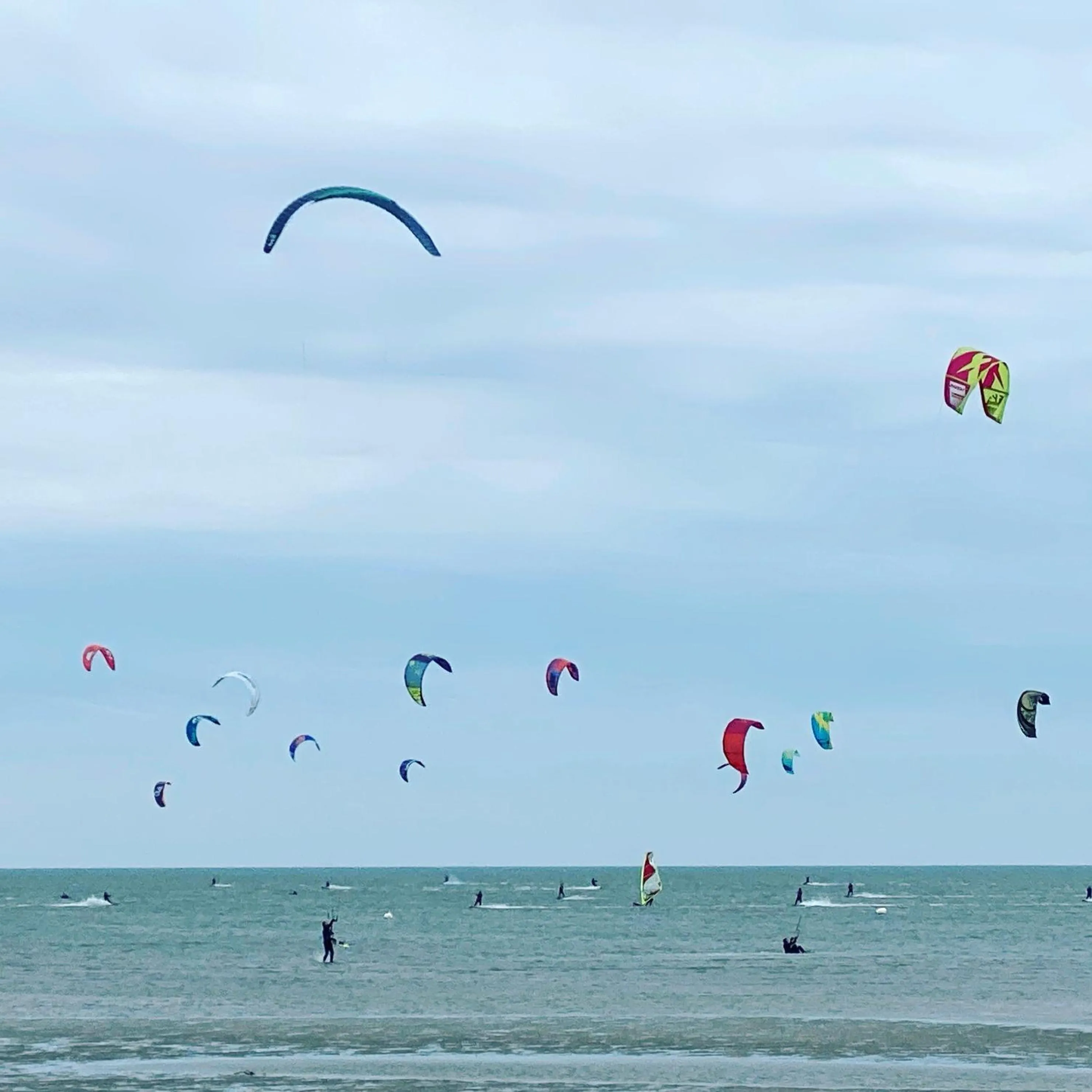 Natural landscape in Hotel Strandhus