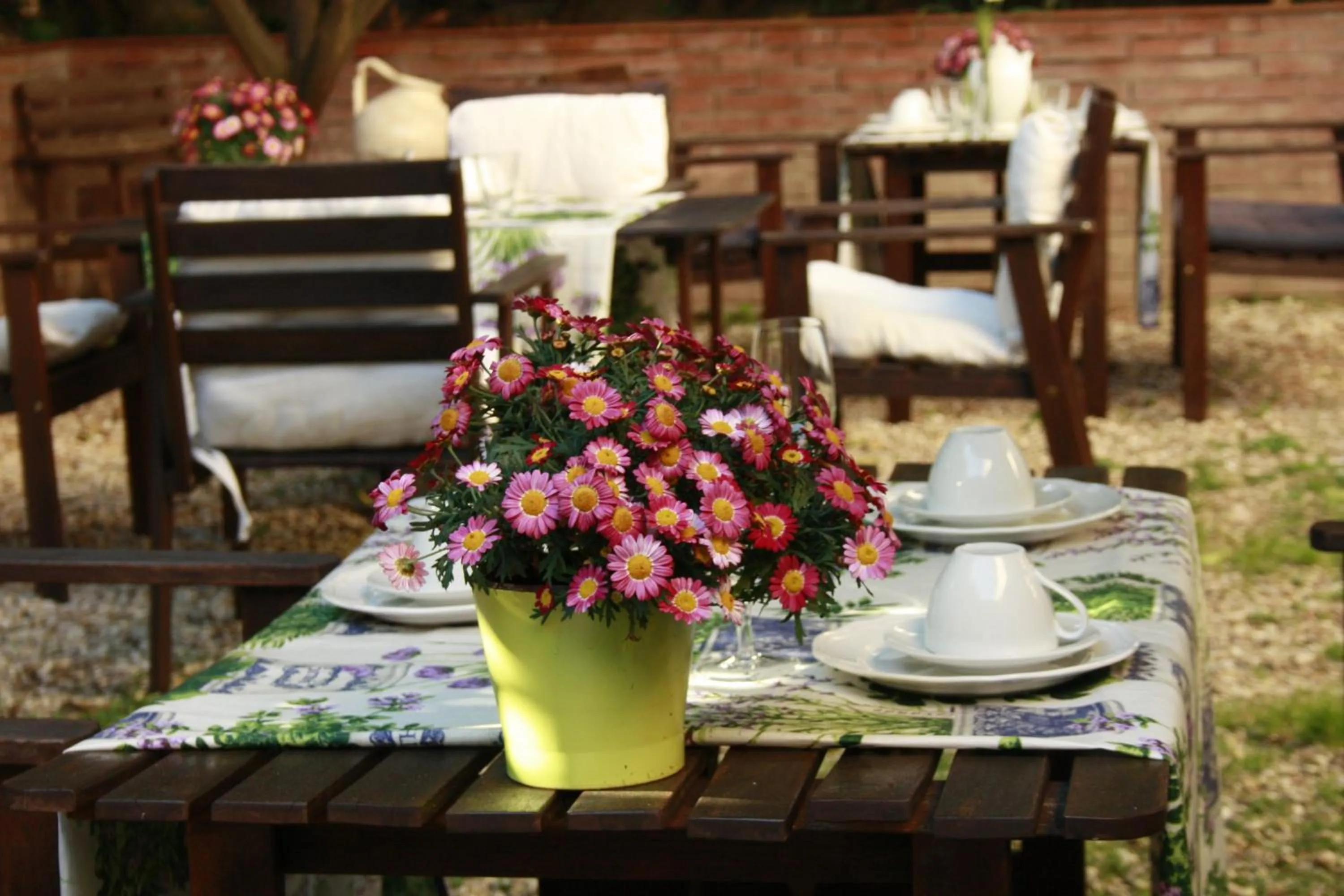 Garden in St. John Villa