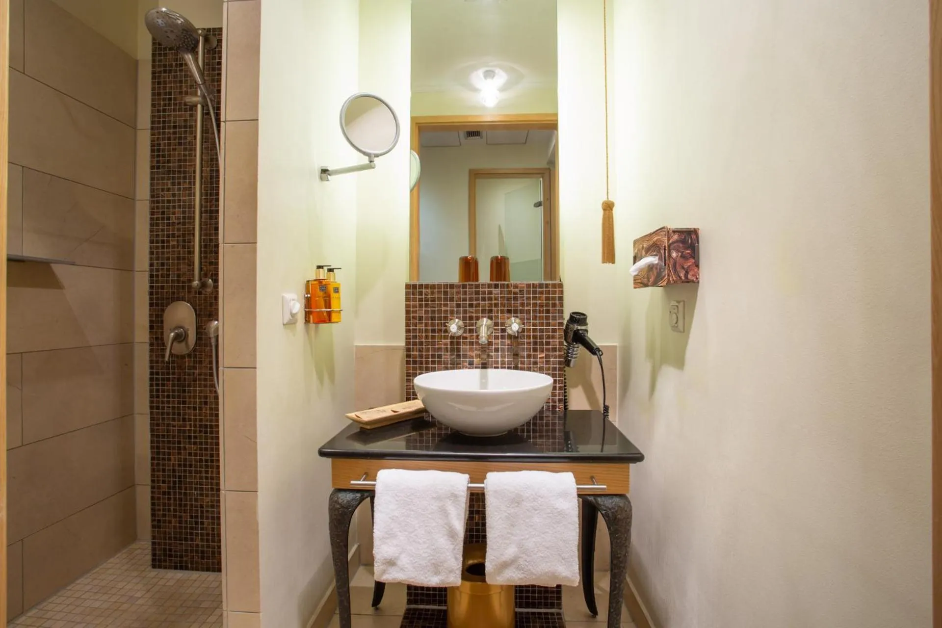 Shower in Classic Hotel Harmonie