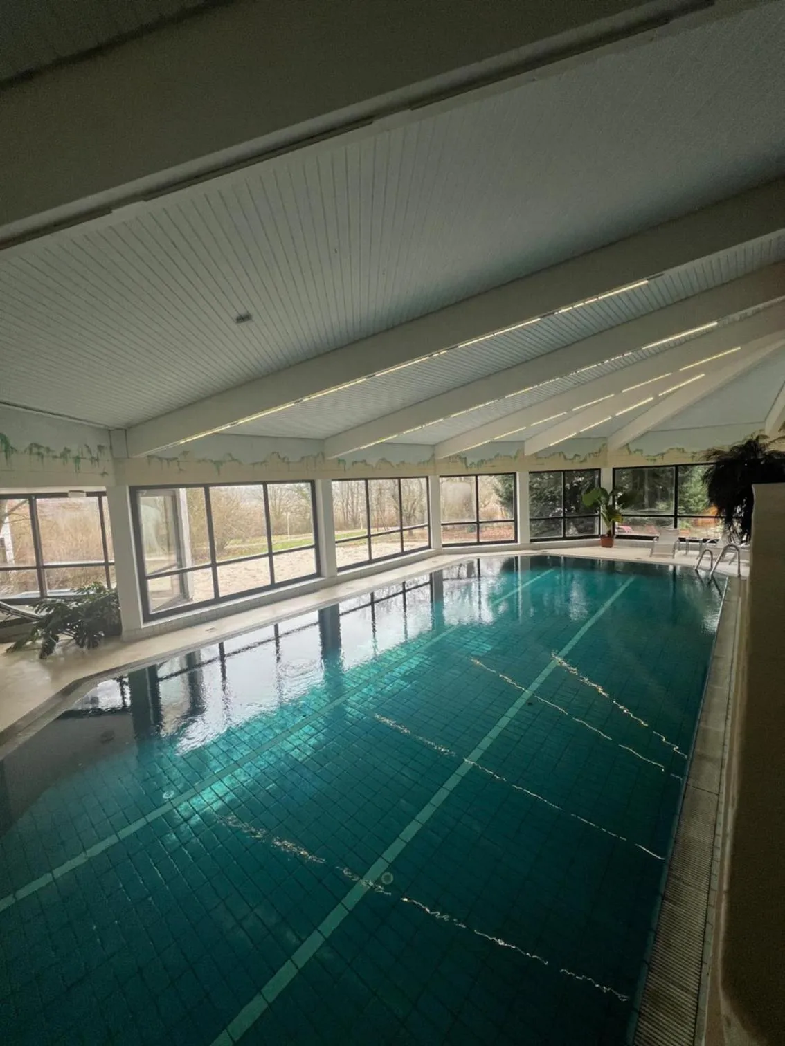 Swimming pool in Parkhotel Maasberg GmbH