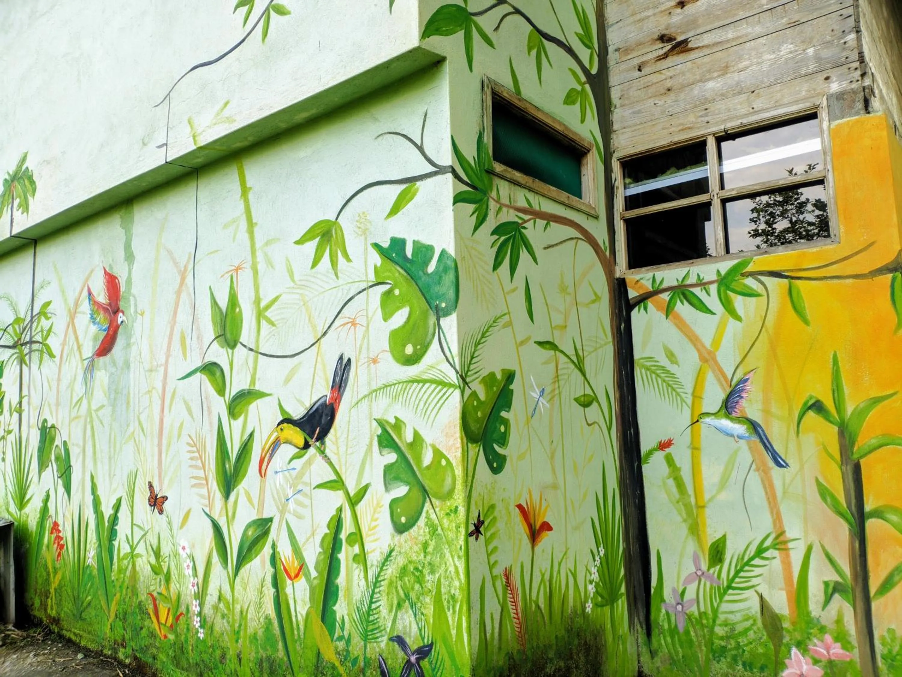 Day in Puerto Quito Lodge