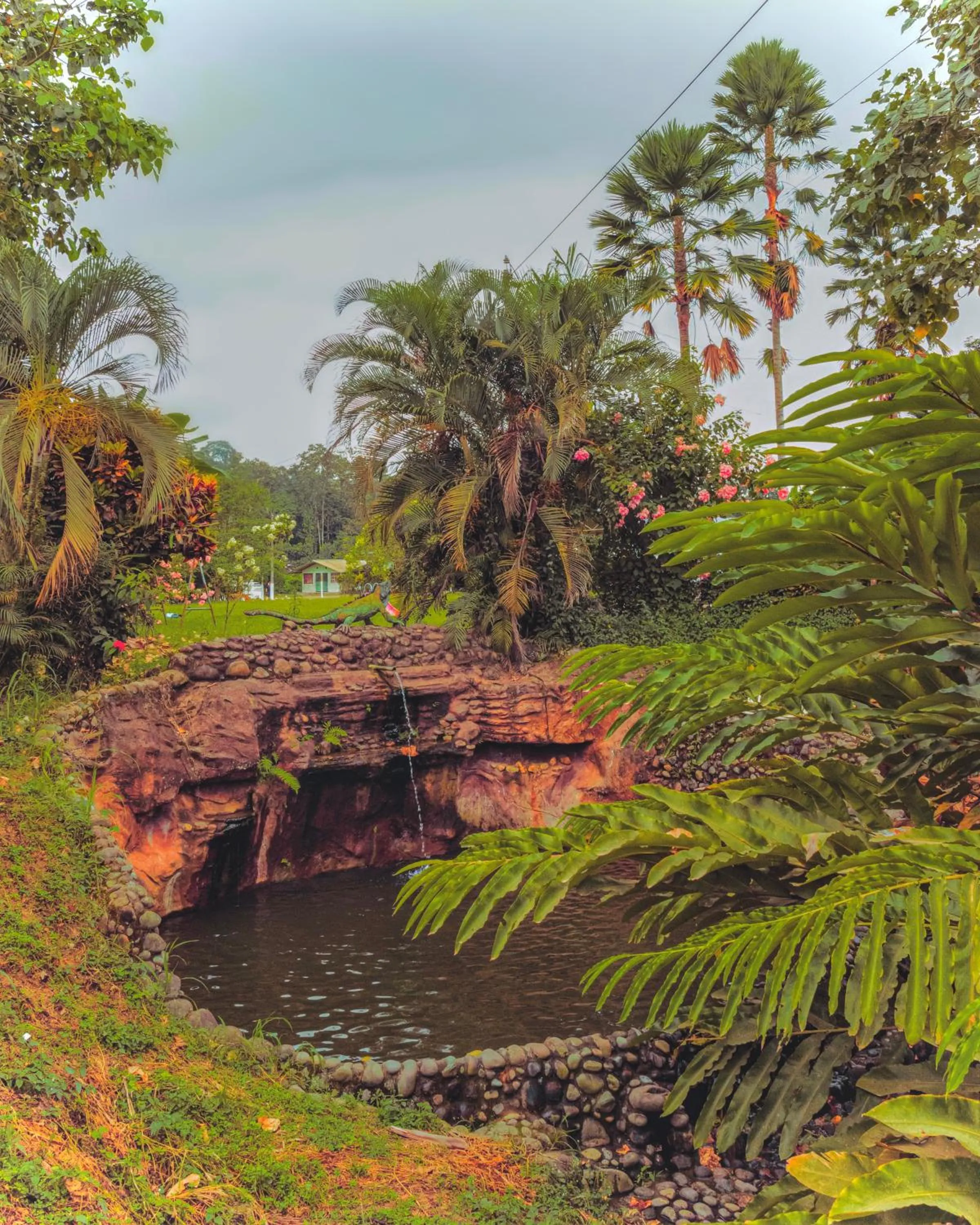 Nearby landmark in Puerto Quito Lodge - Las Iguanas