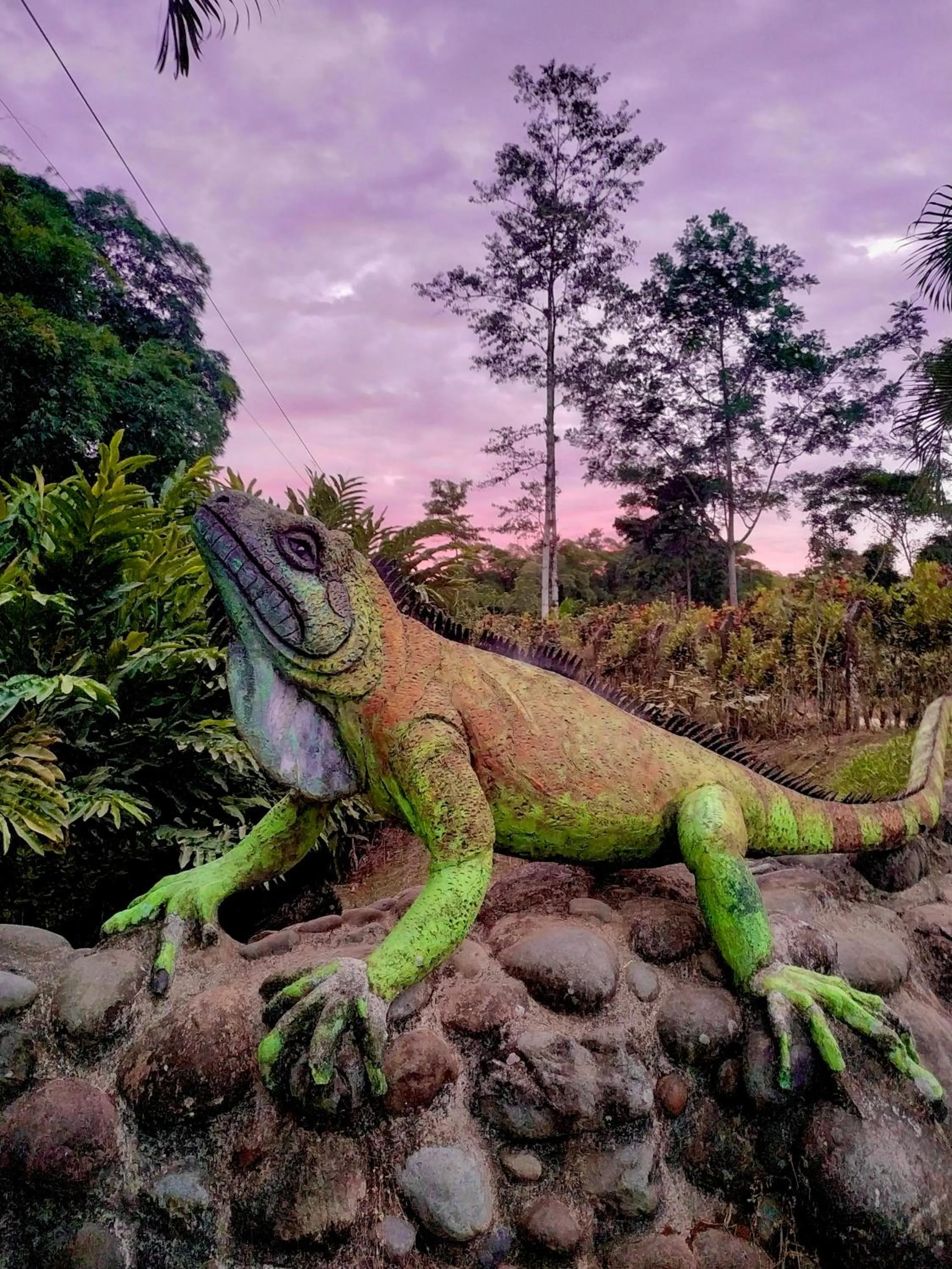 Nearby landmark in Puerto Quito Lodge - Las Iguanas