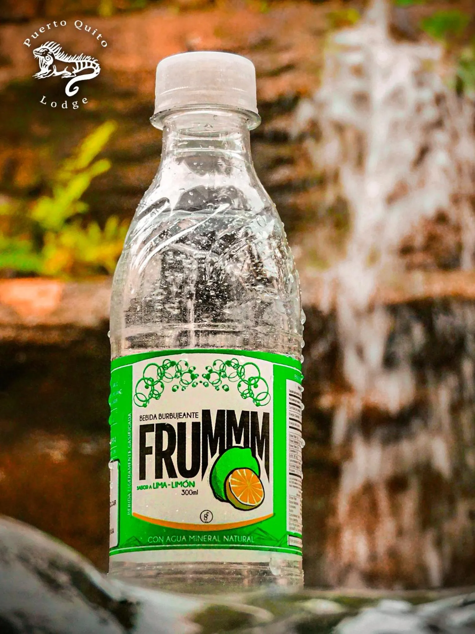 Day in Puerto Quito Lodge