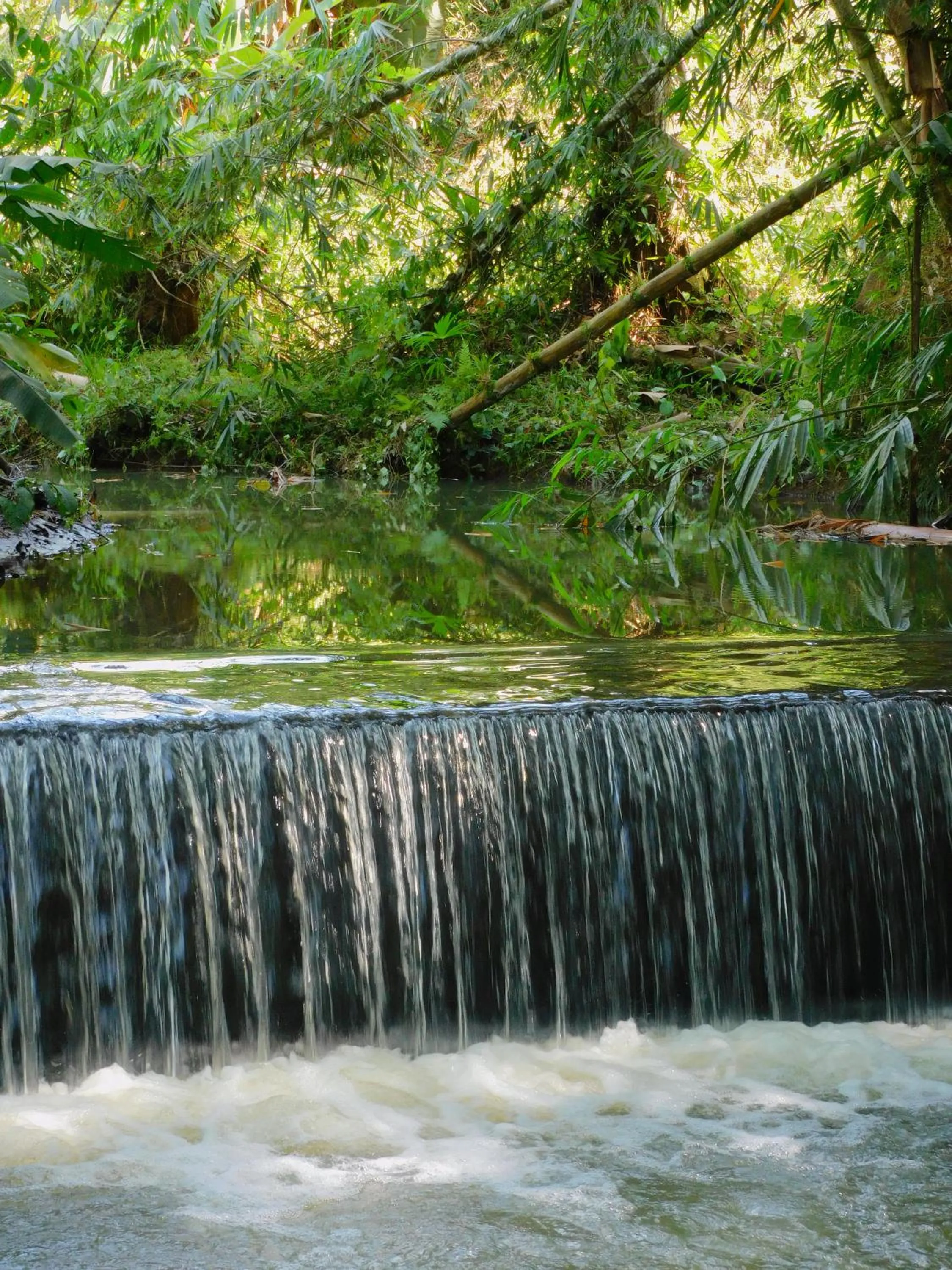 Nearby landmark in Puerto Quito Lodge