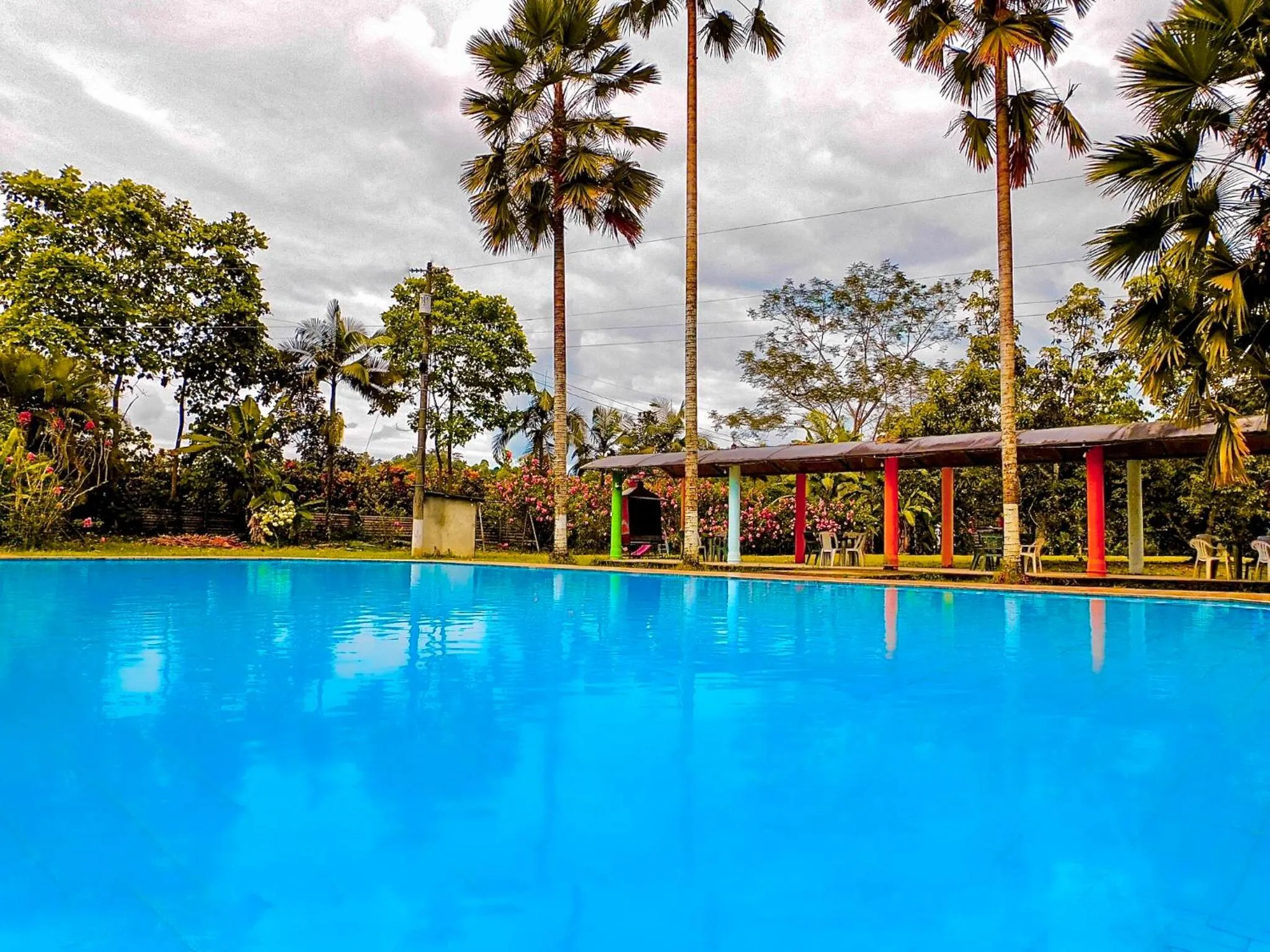 Natural landscape in Puerto Quito Lodge - Las Iguanas