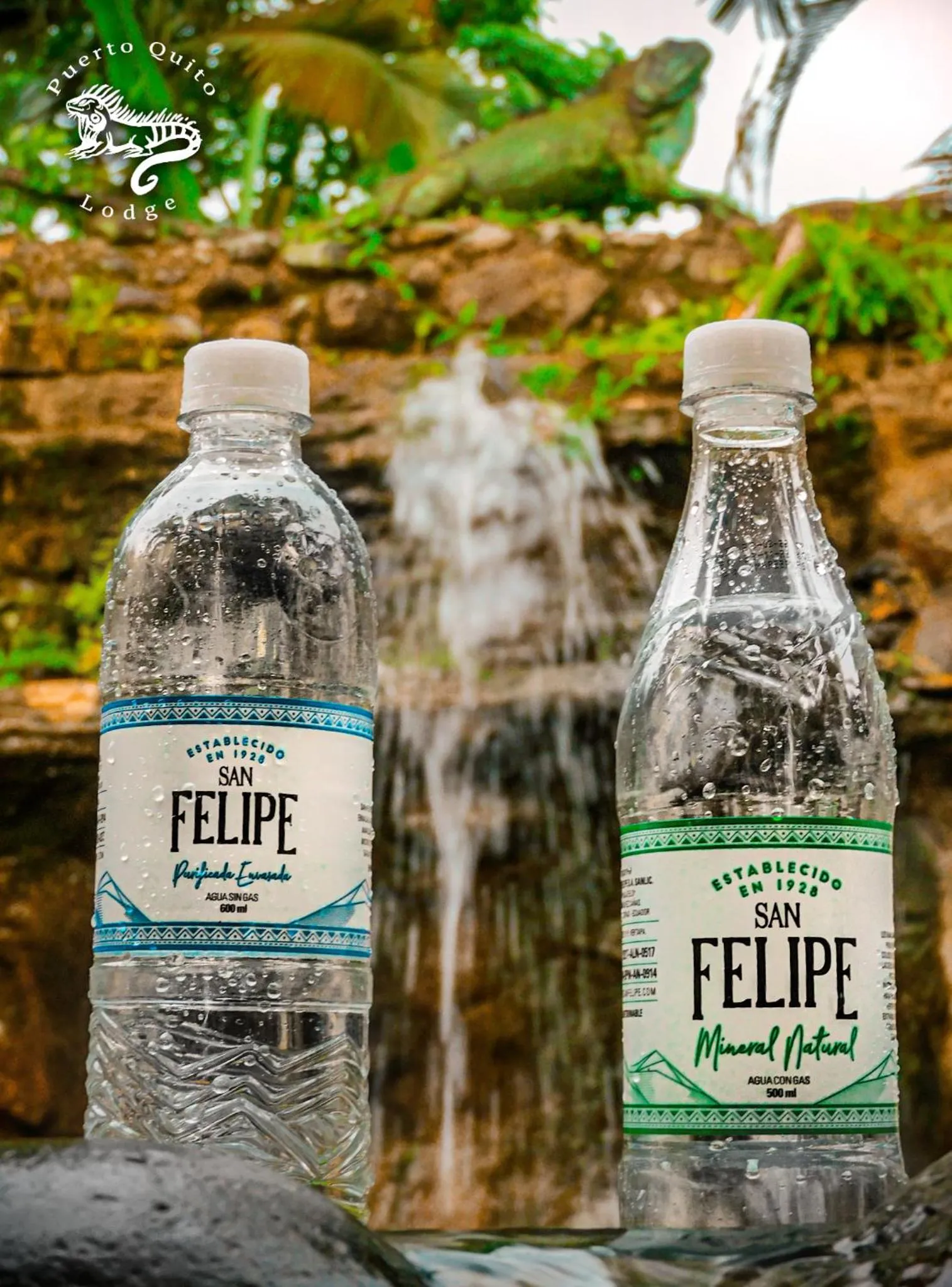 Day in Puerto Quito Lodge