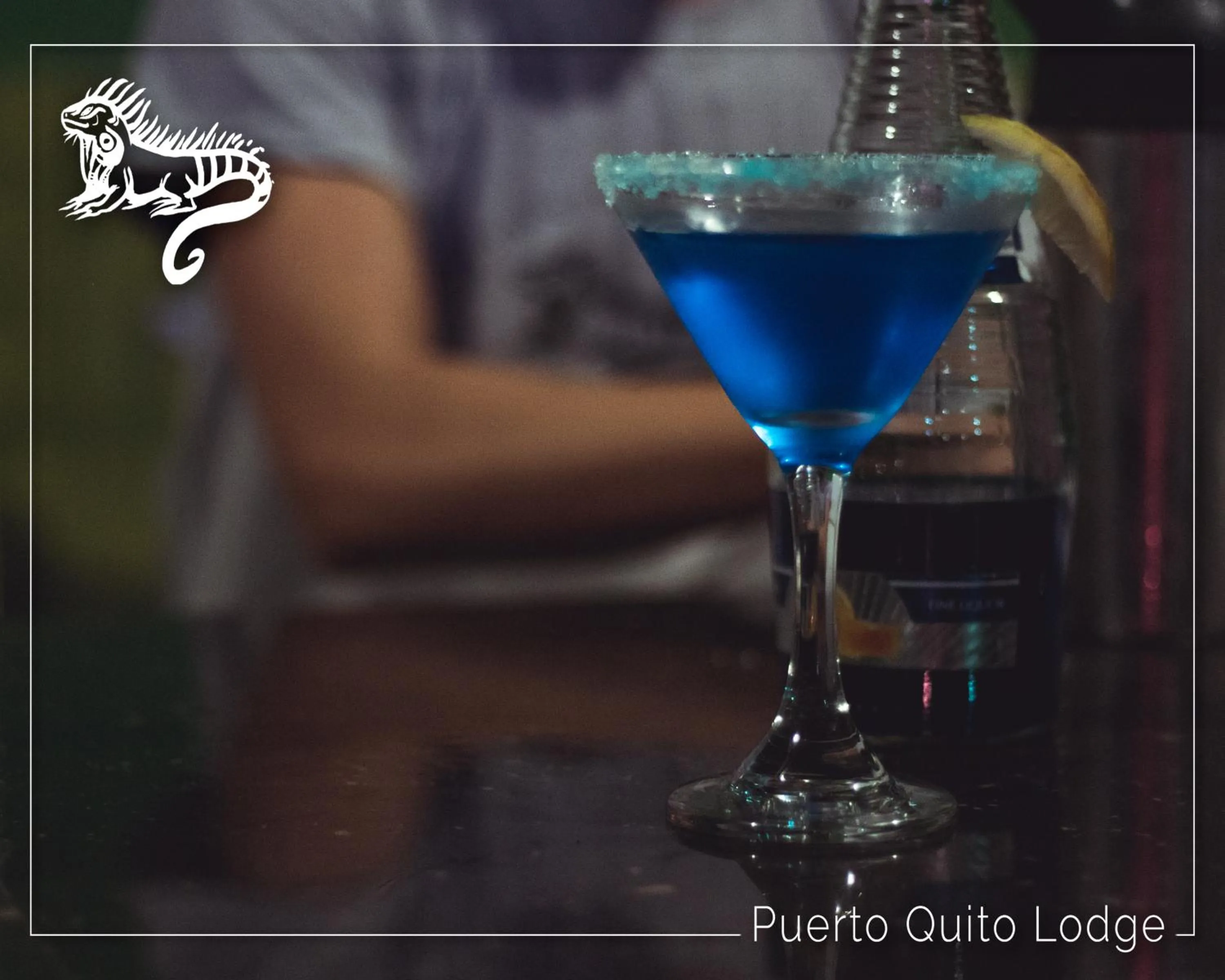 Food and drinks in Puerto Quito Lodge