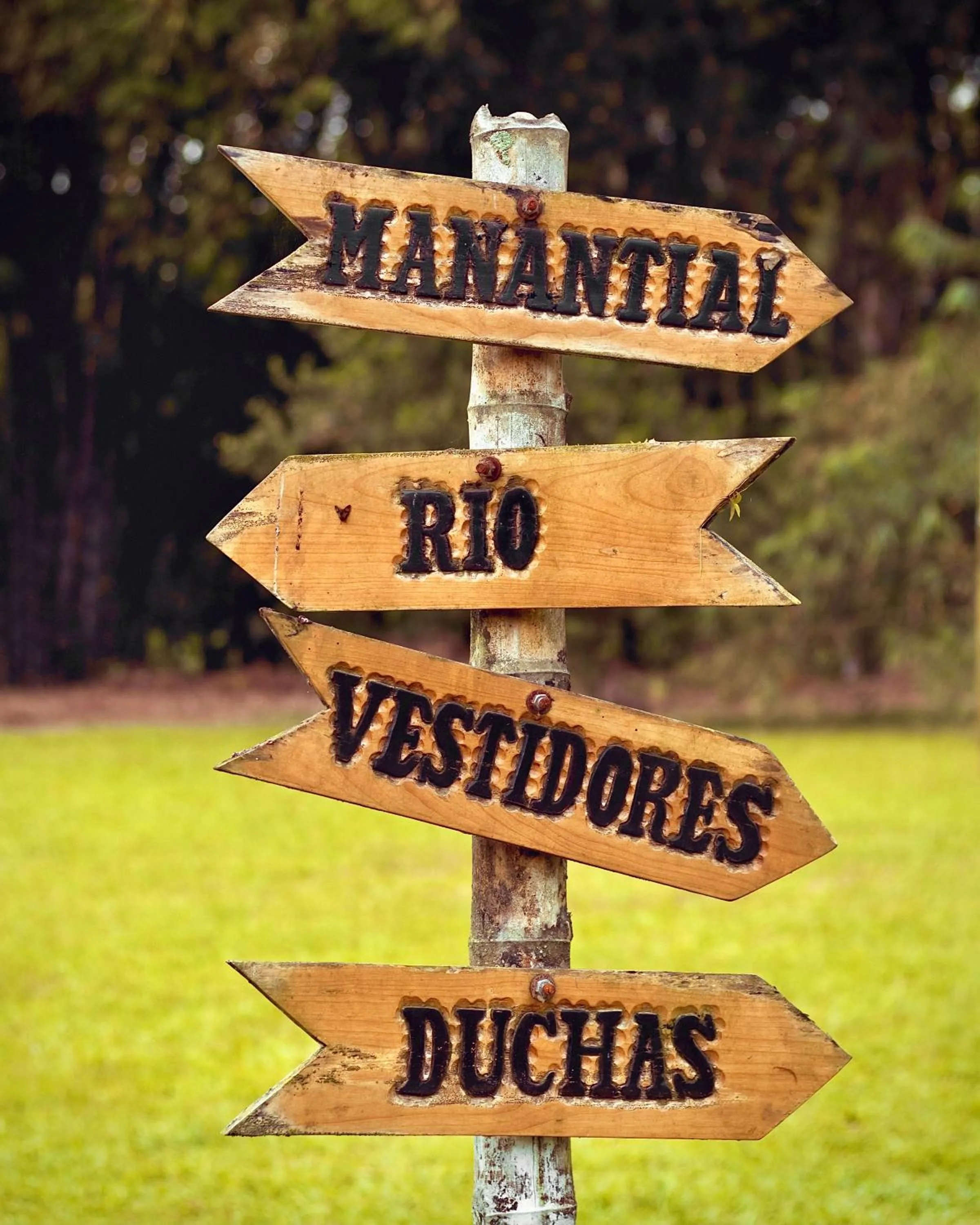 Day in Puerto Quito Lodge - Las Iguanas