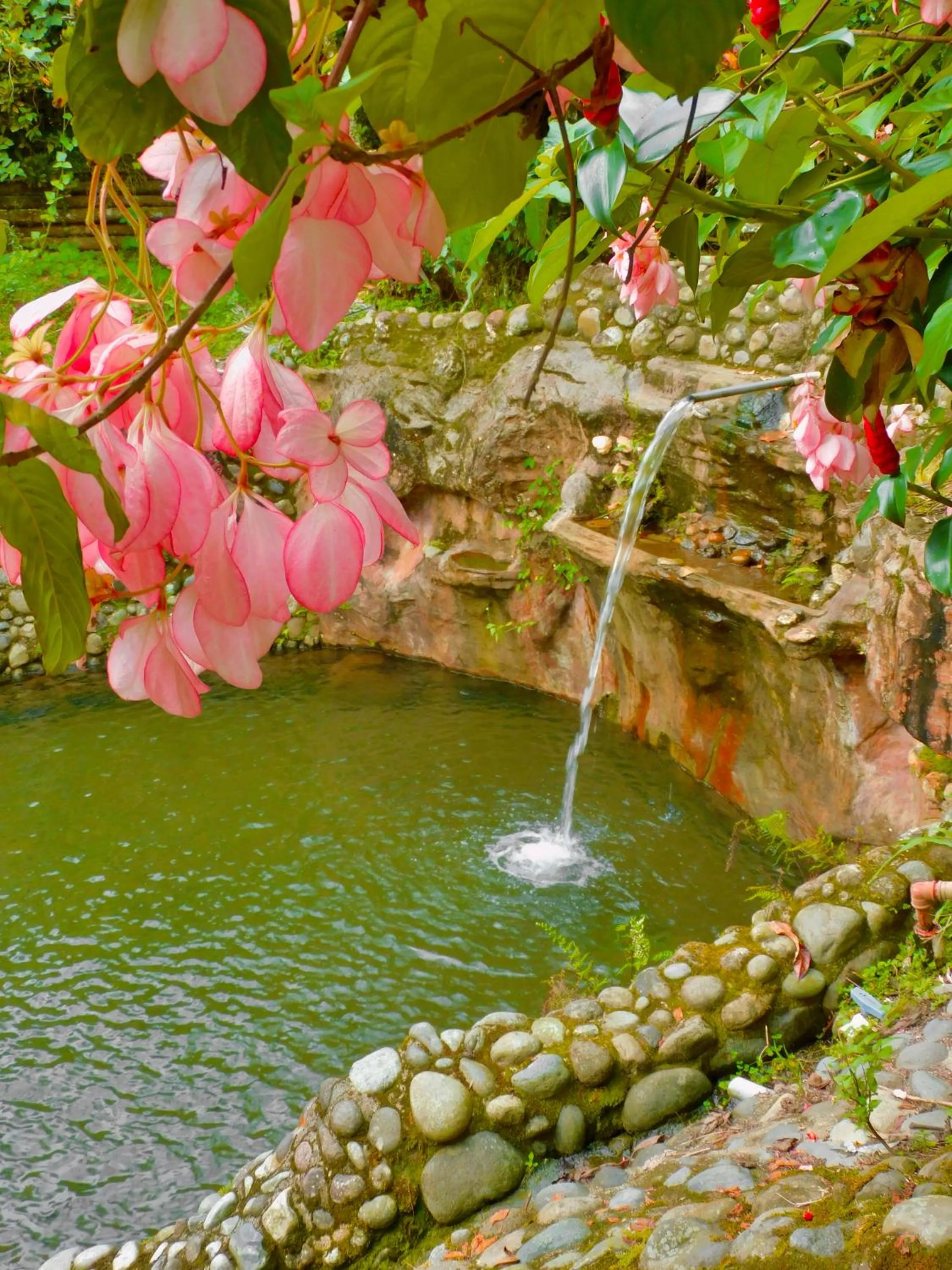 Nearby landmark in Puerto Quito Lodge - Las Iguanas