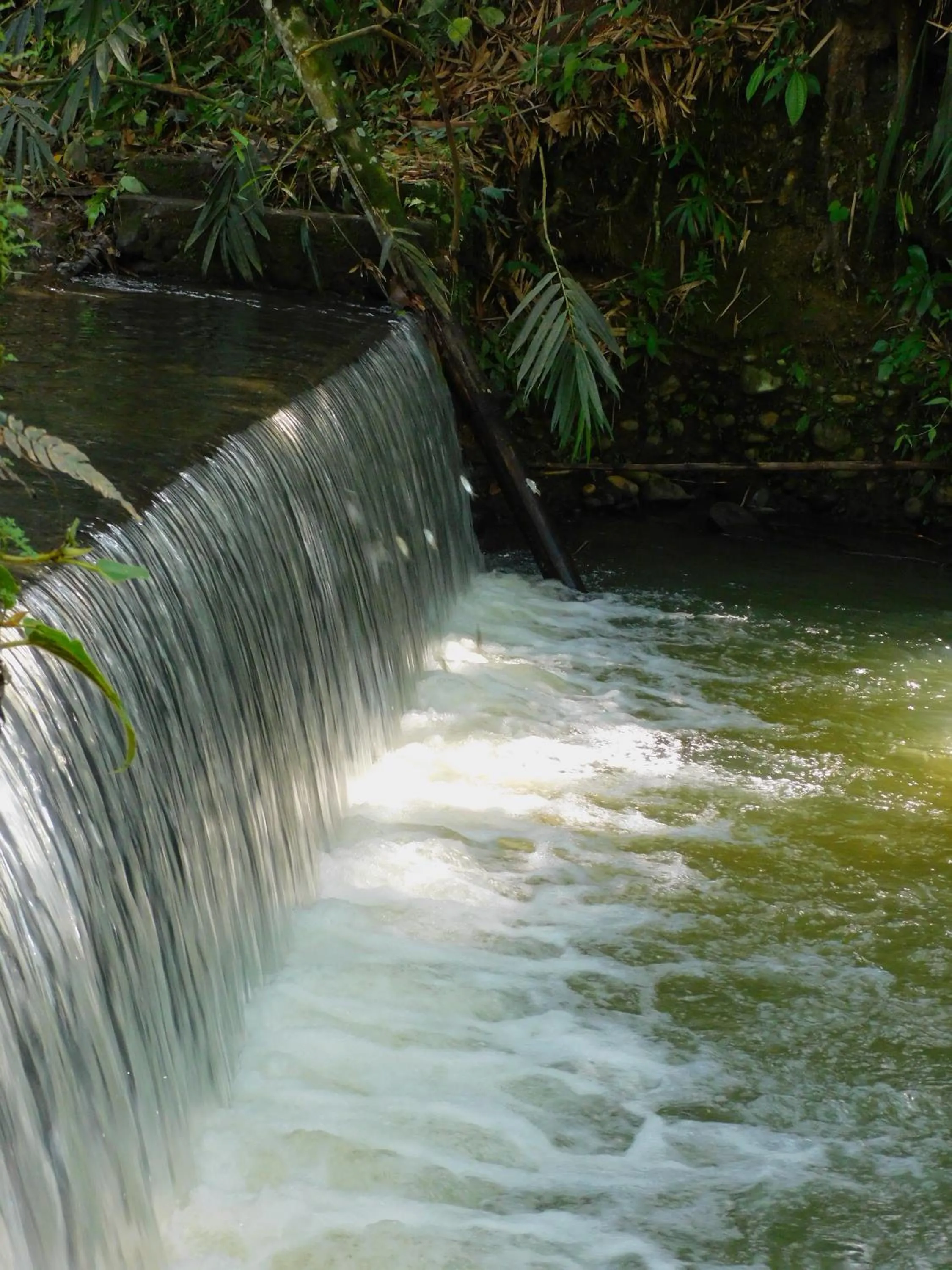 Nearby landmark in Puerto Quito Lodge