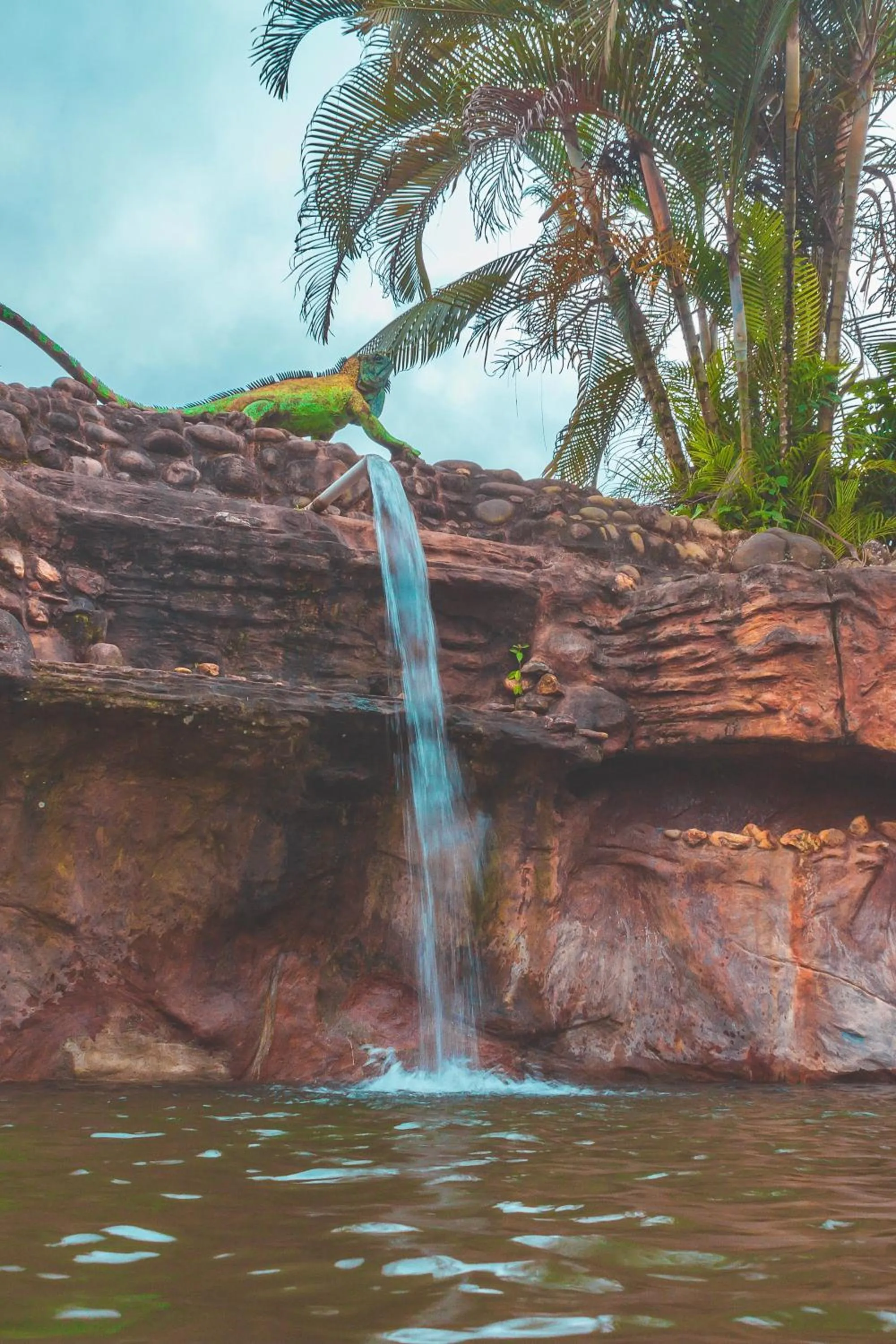 Nearby landmark in Puerto Quito Lodge - Las Iguanas