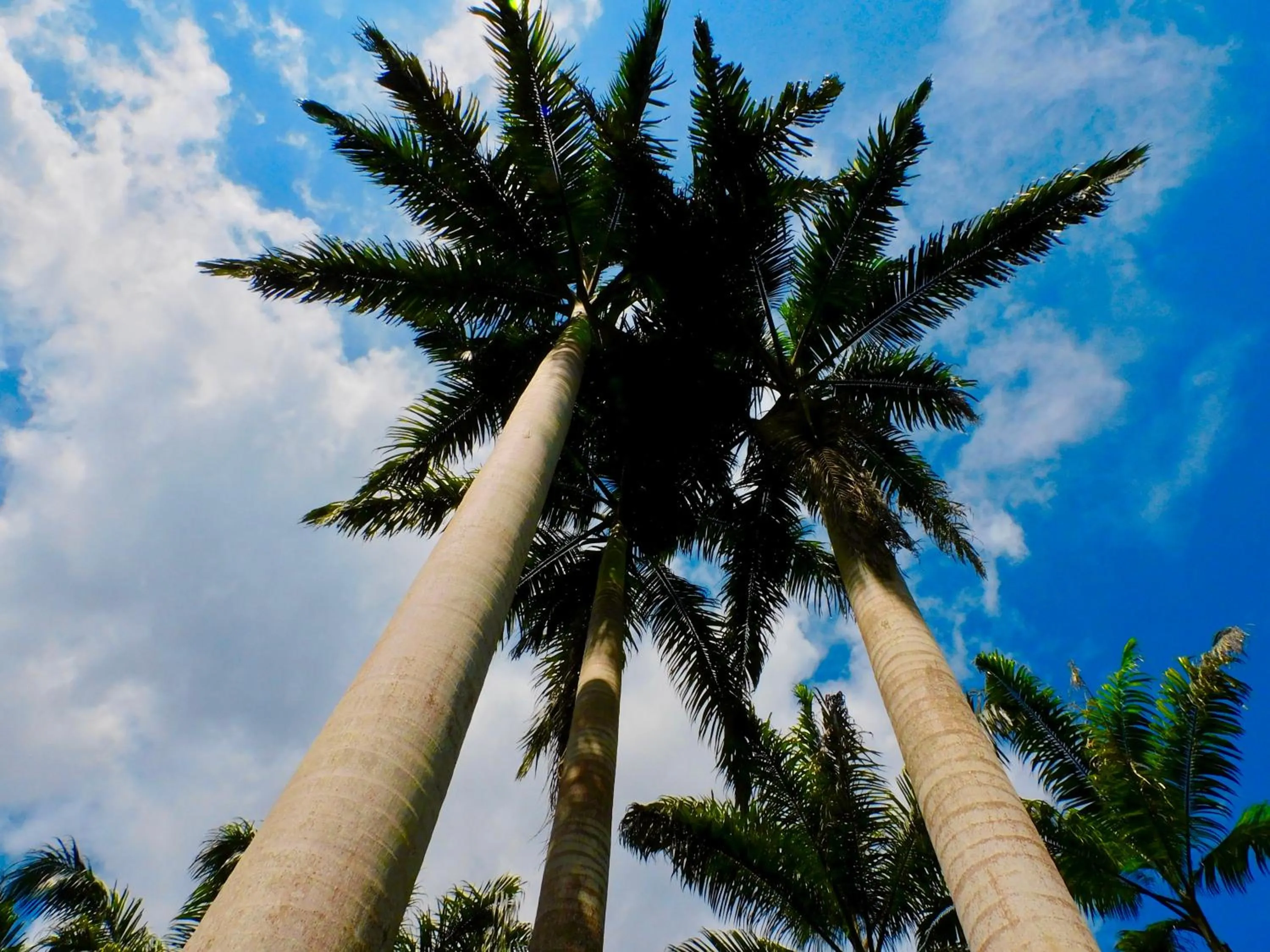 Day in Puerto Quito Lodge - Las Iguanas