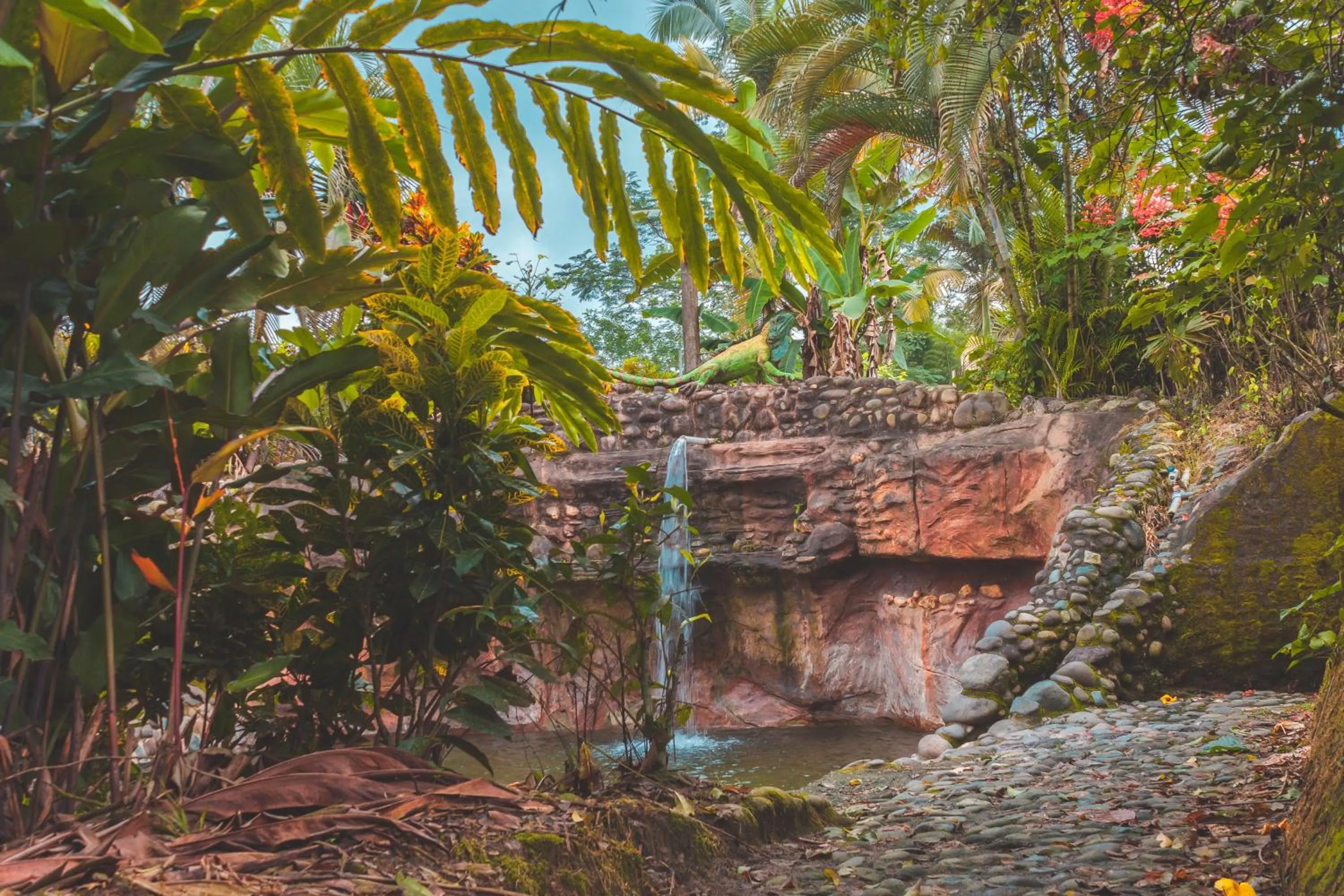 Spring in Puerto Quito Lodge - Las Iguanas