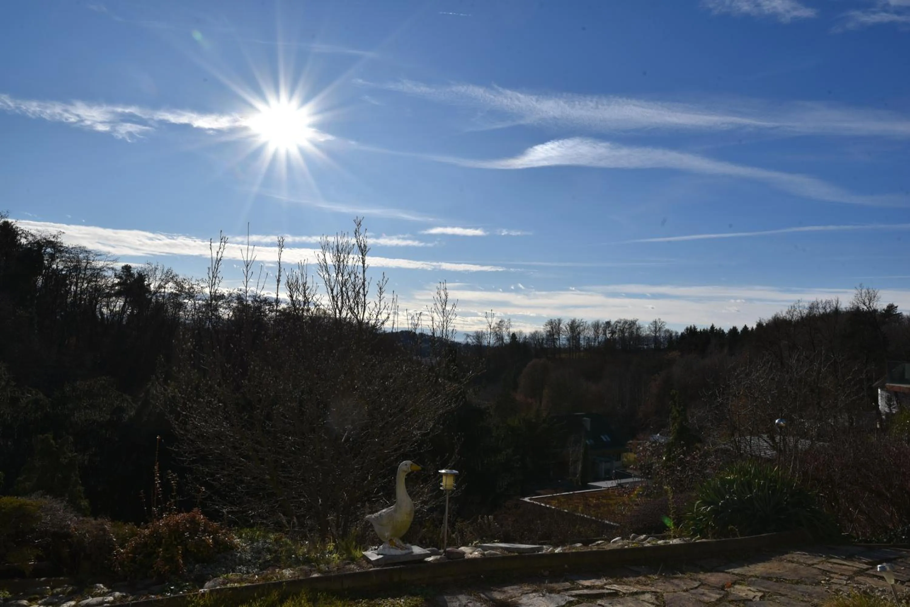 View (from property/room) in PM-APART Ries Rosina