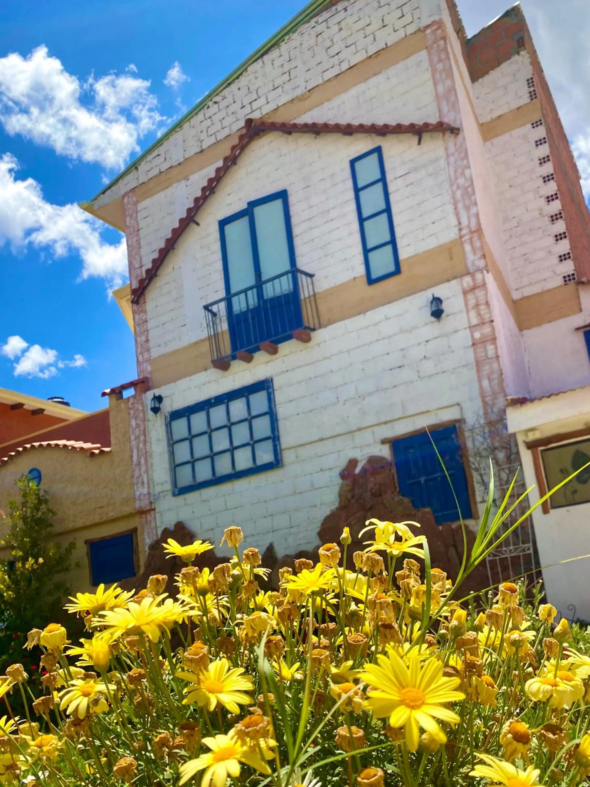 Garden view in Hotel Mitru