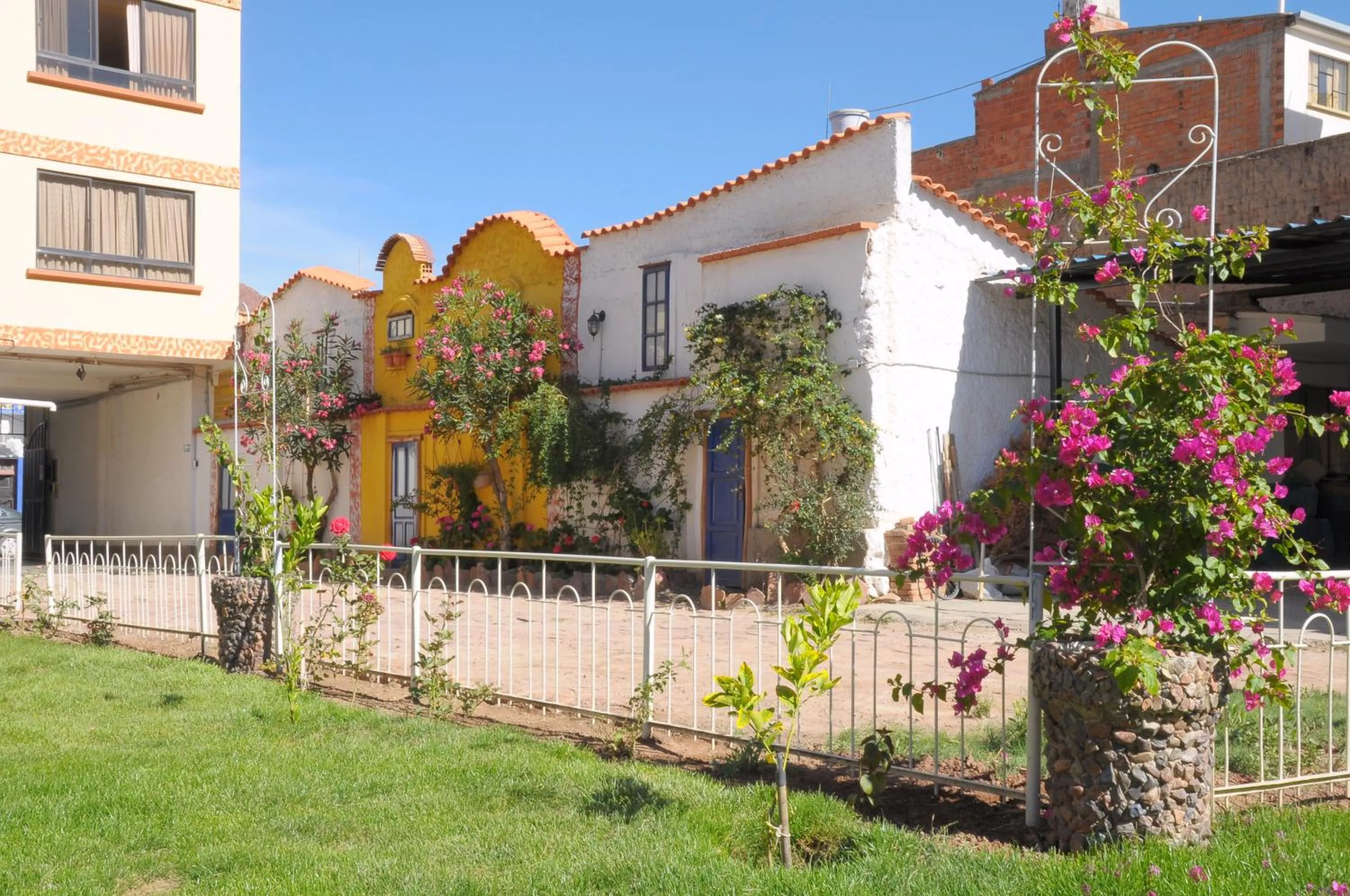 Garden in Hotel Mitru