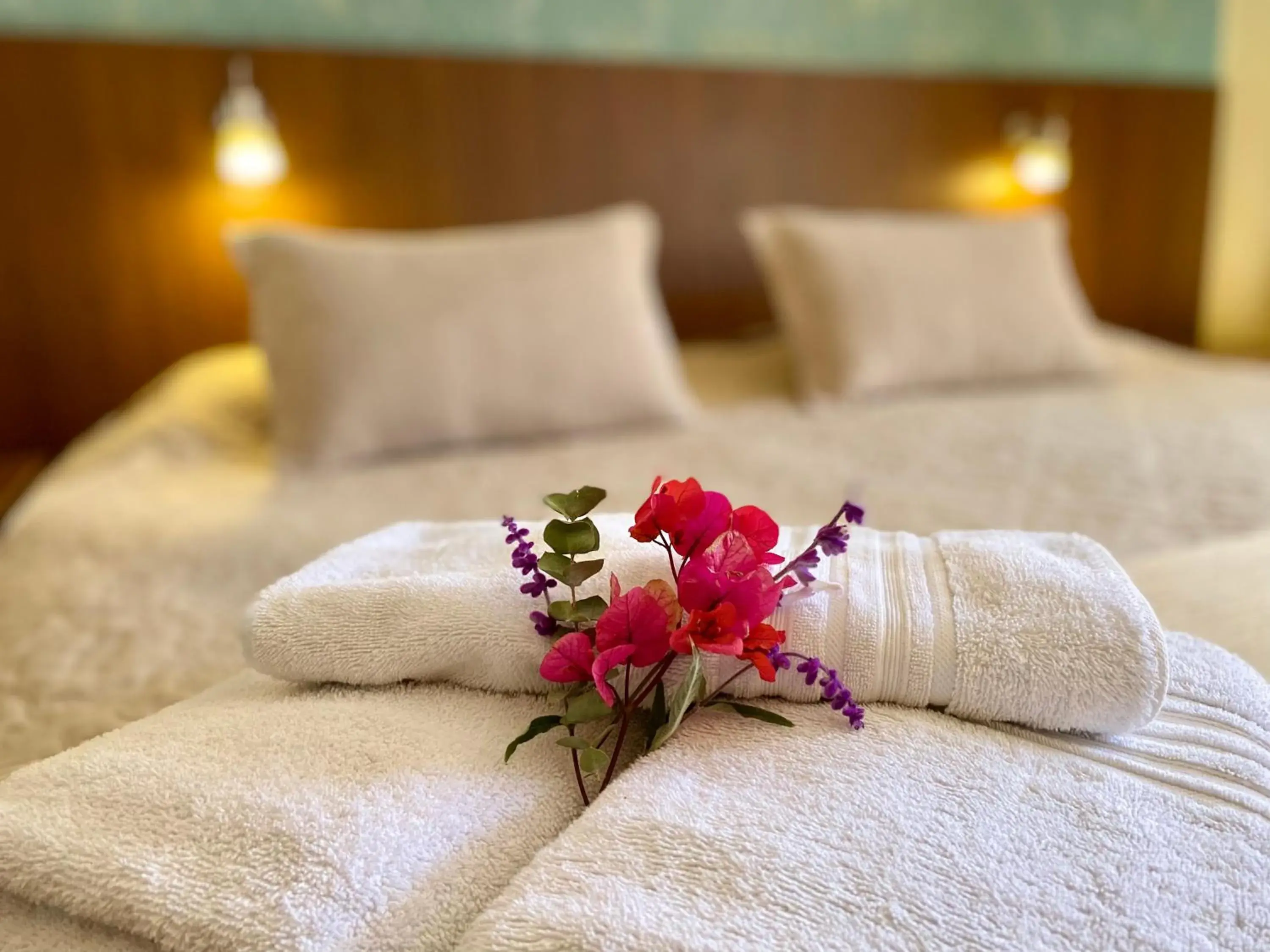 Superior Double Room - single occupancy in Hotel Mitru Superior Double Room - single occupancy in Hotel Mitru