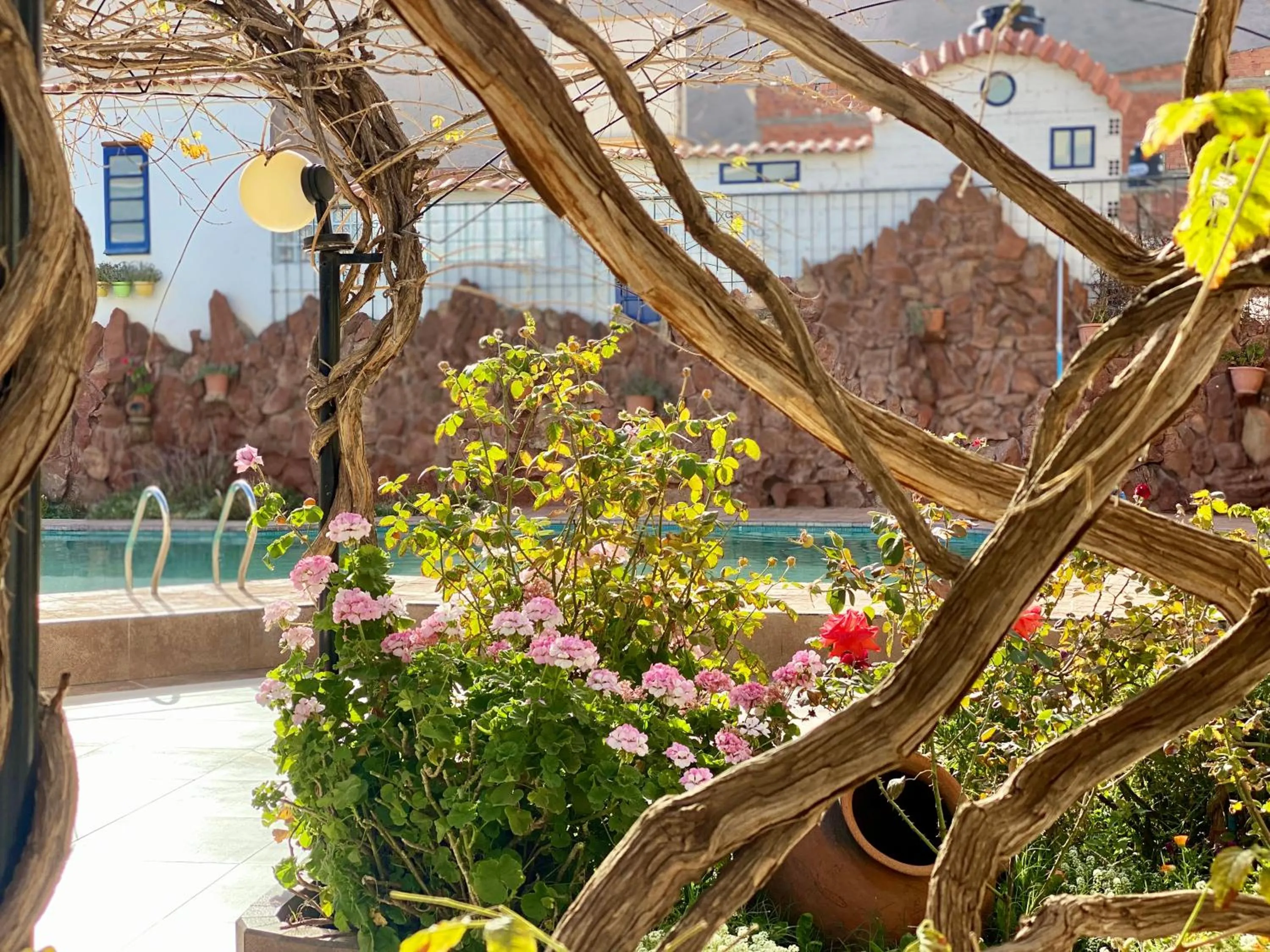 Patio in Hotel Mitru