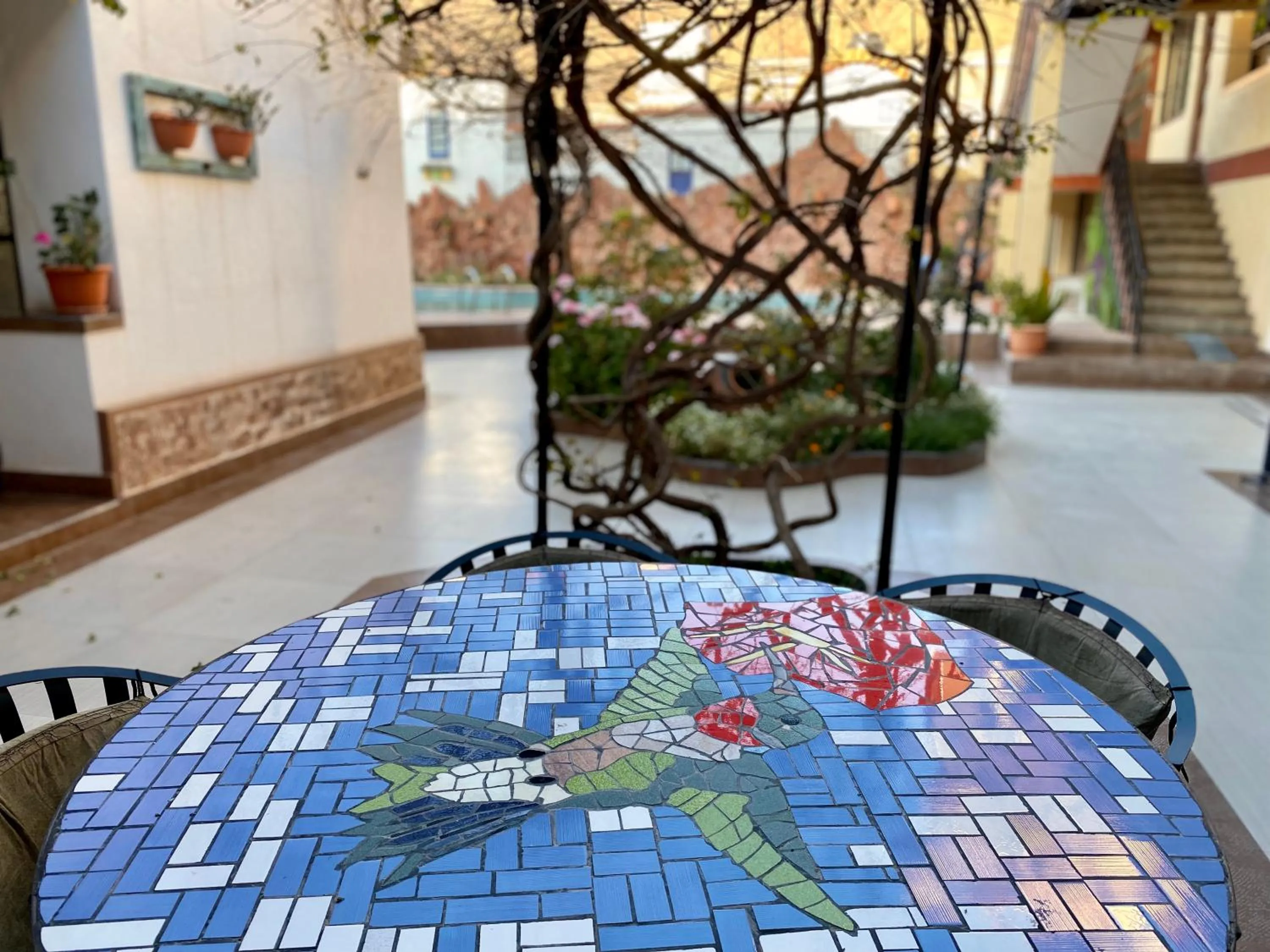 Patio in Hotel Mitru