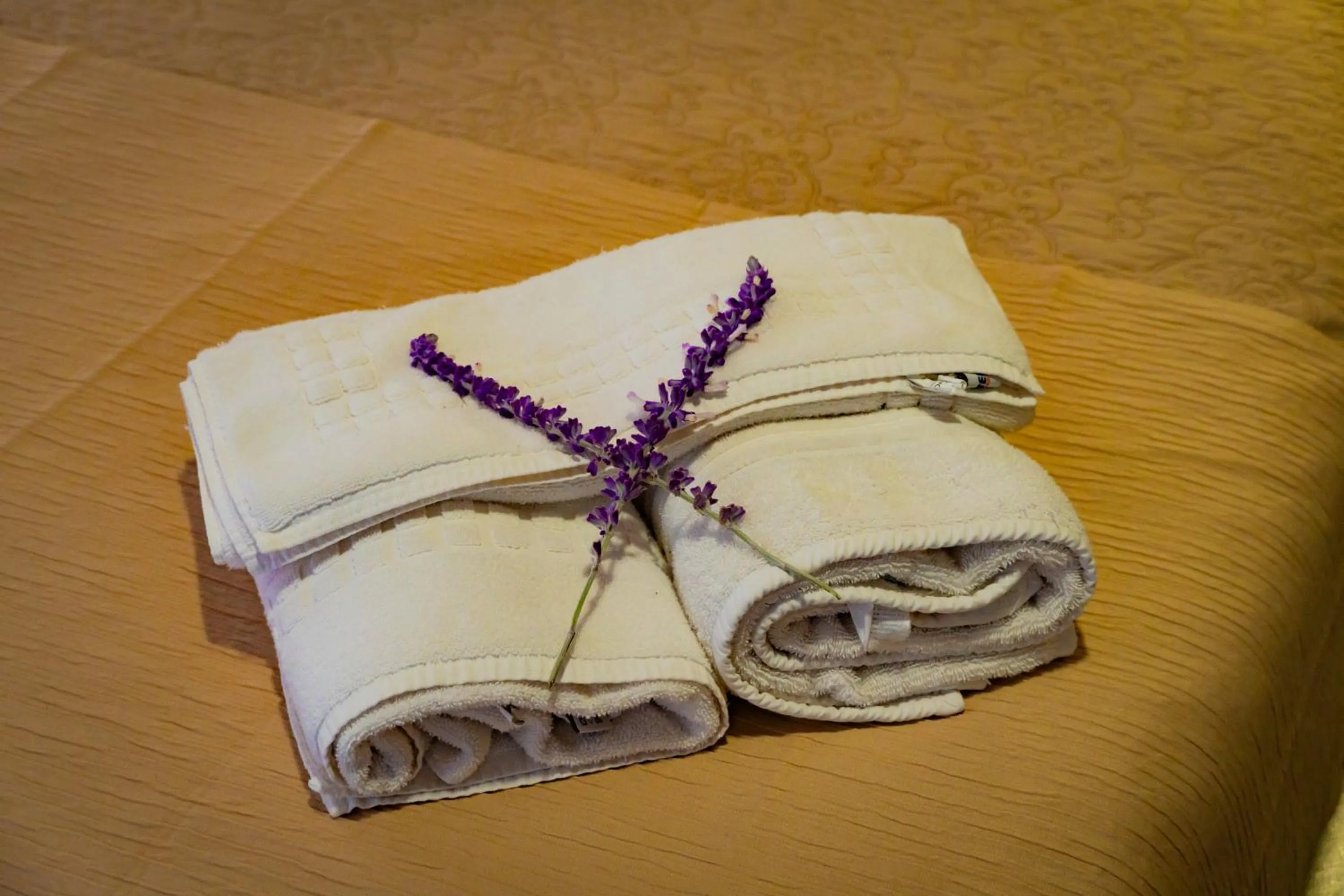 towels in Hotel Mitru