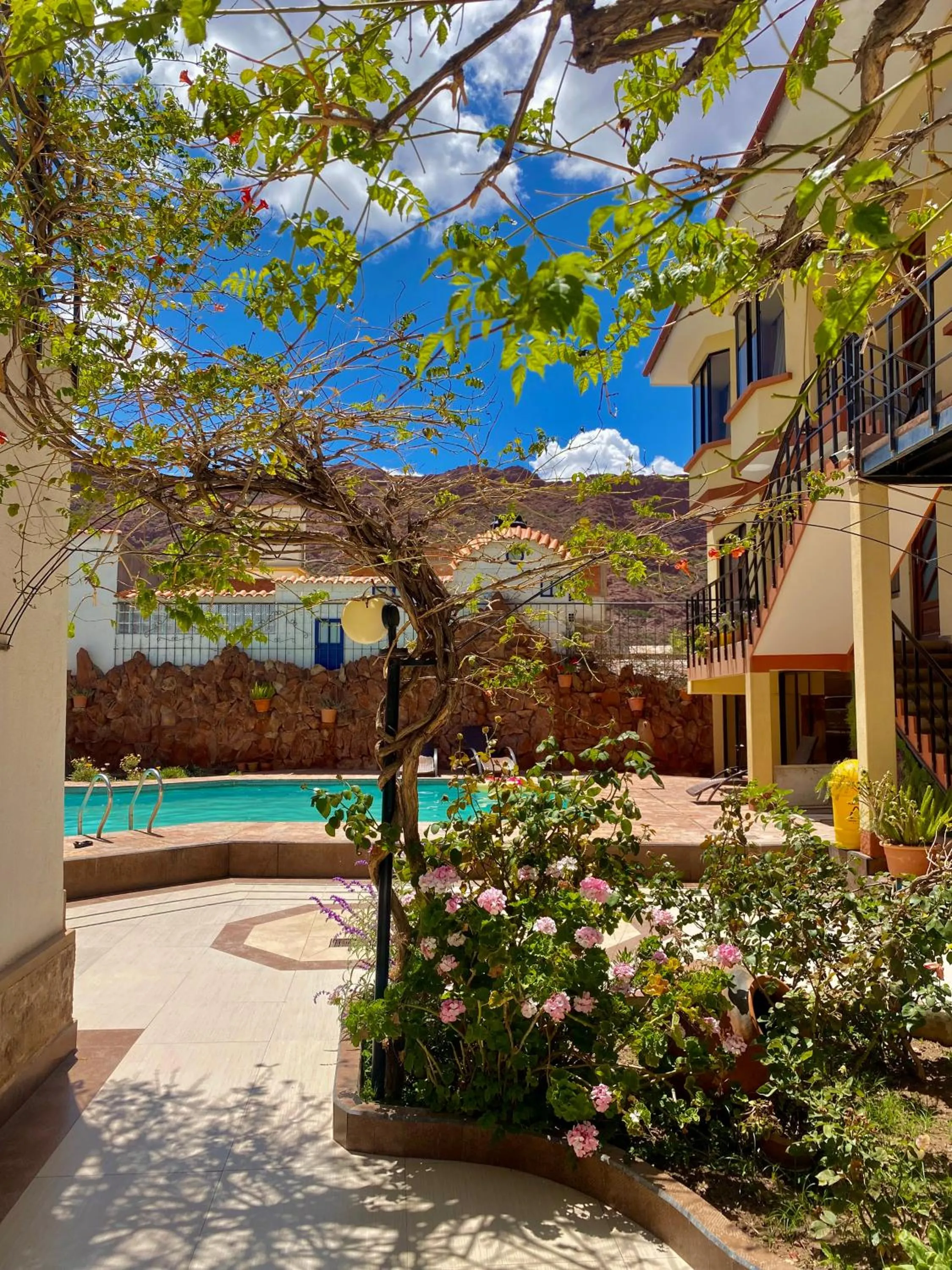Garden in Hotel Mitru