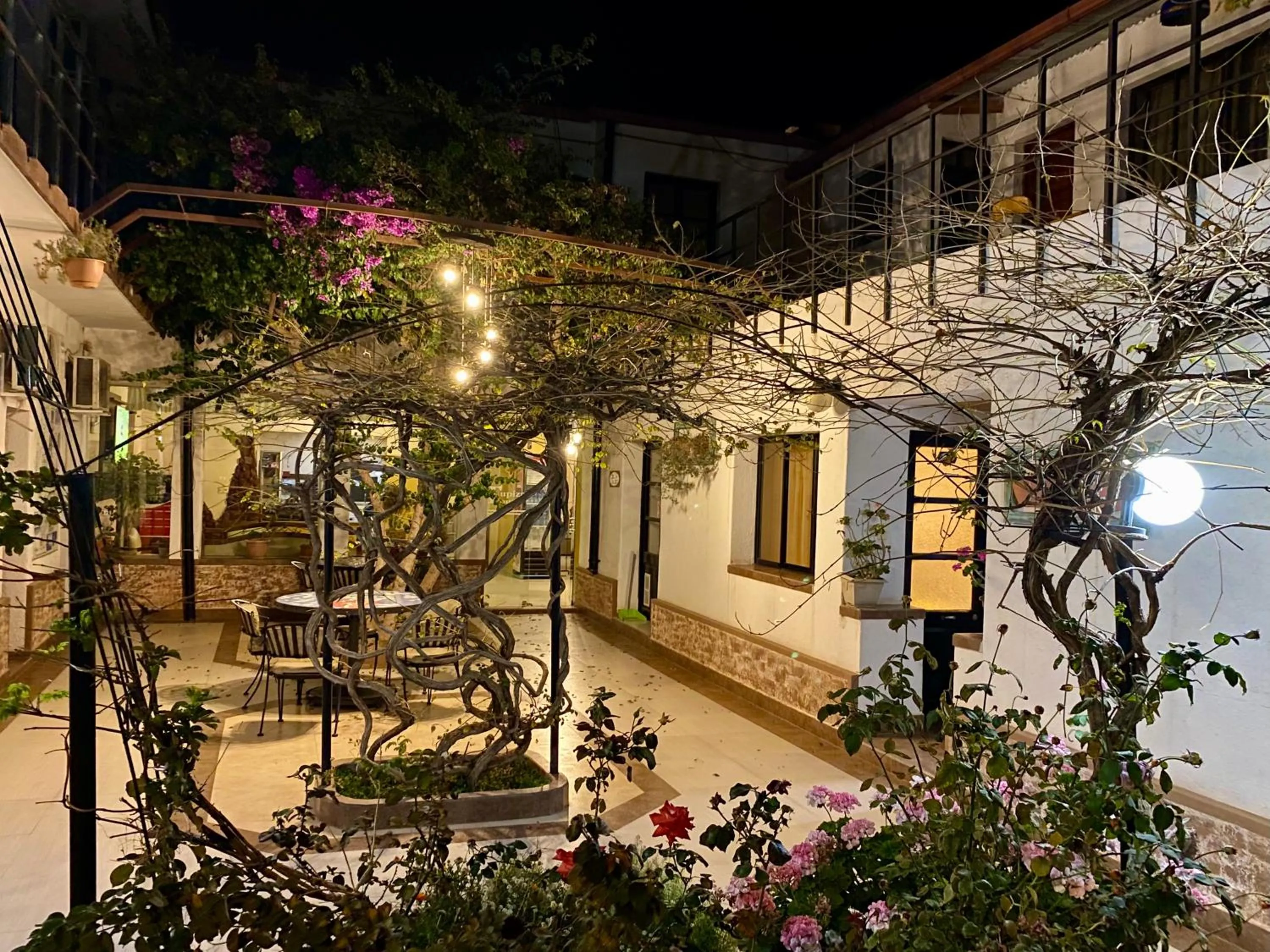 Property building in Hotel Mitru