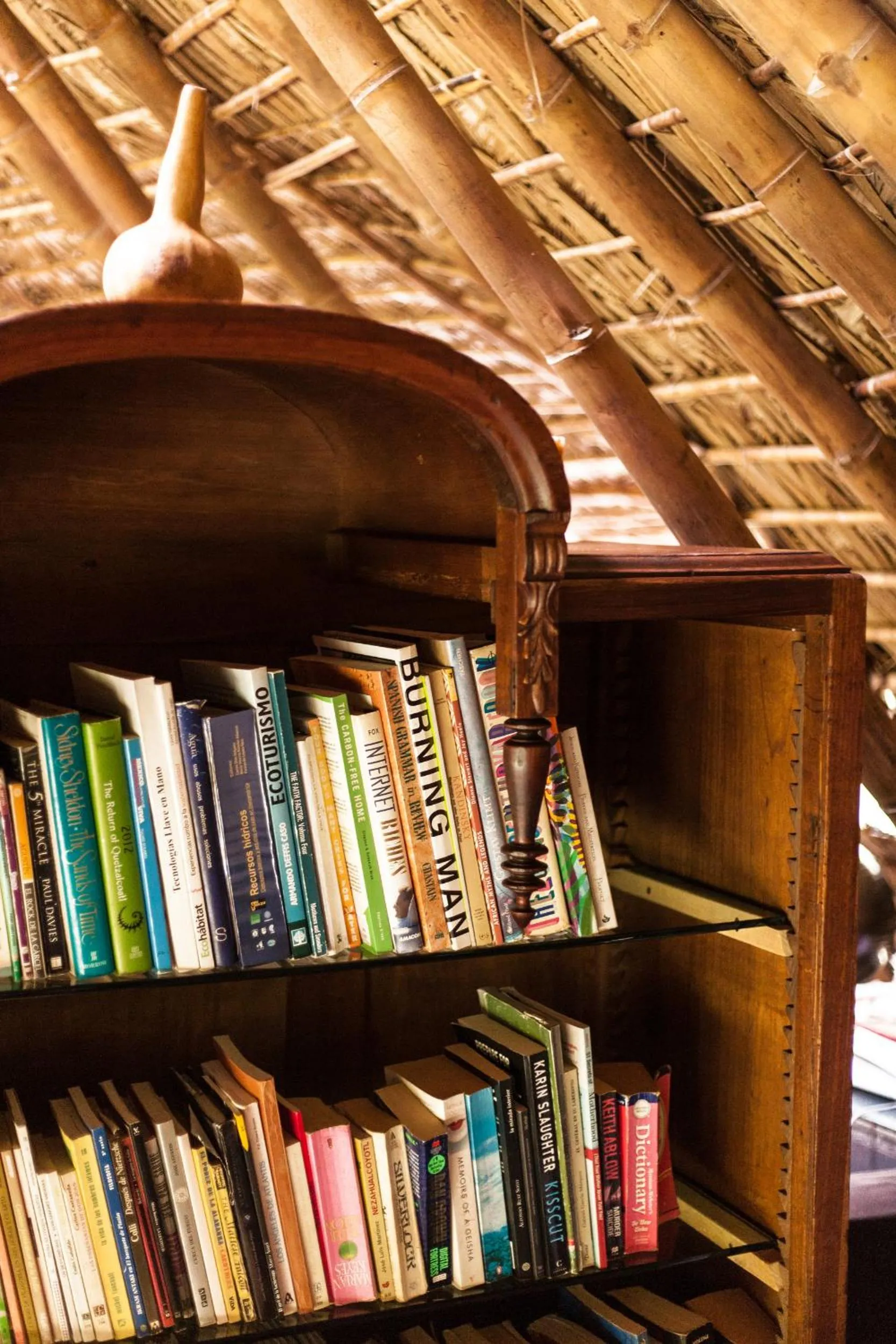 Library in Yolitia Wellness