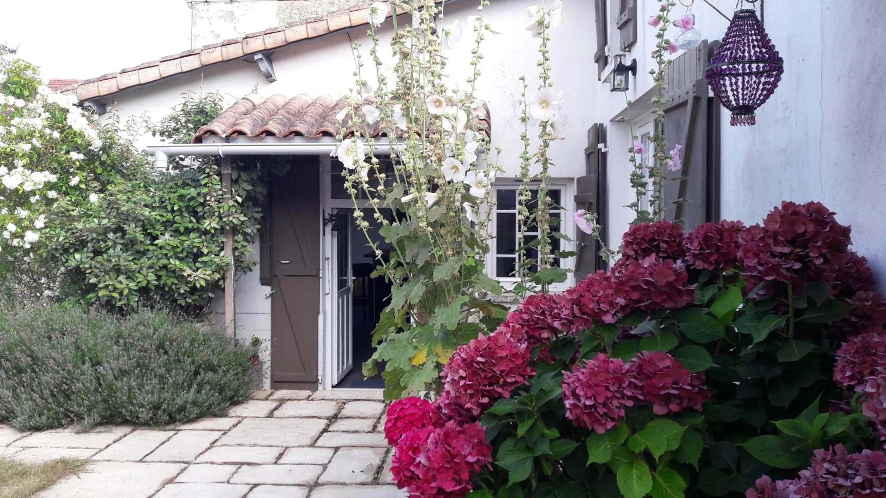 Garden in Chez Chris