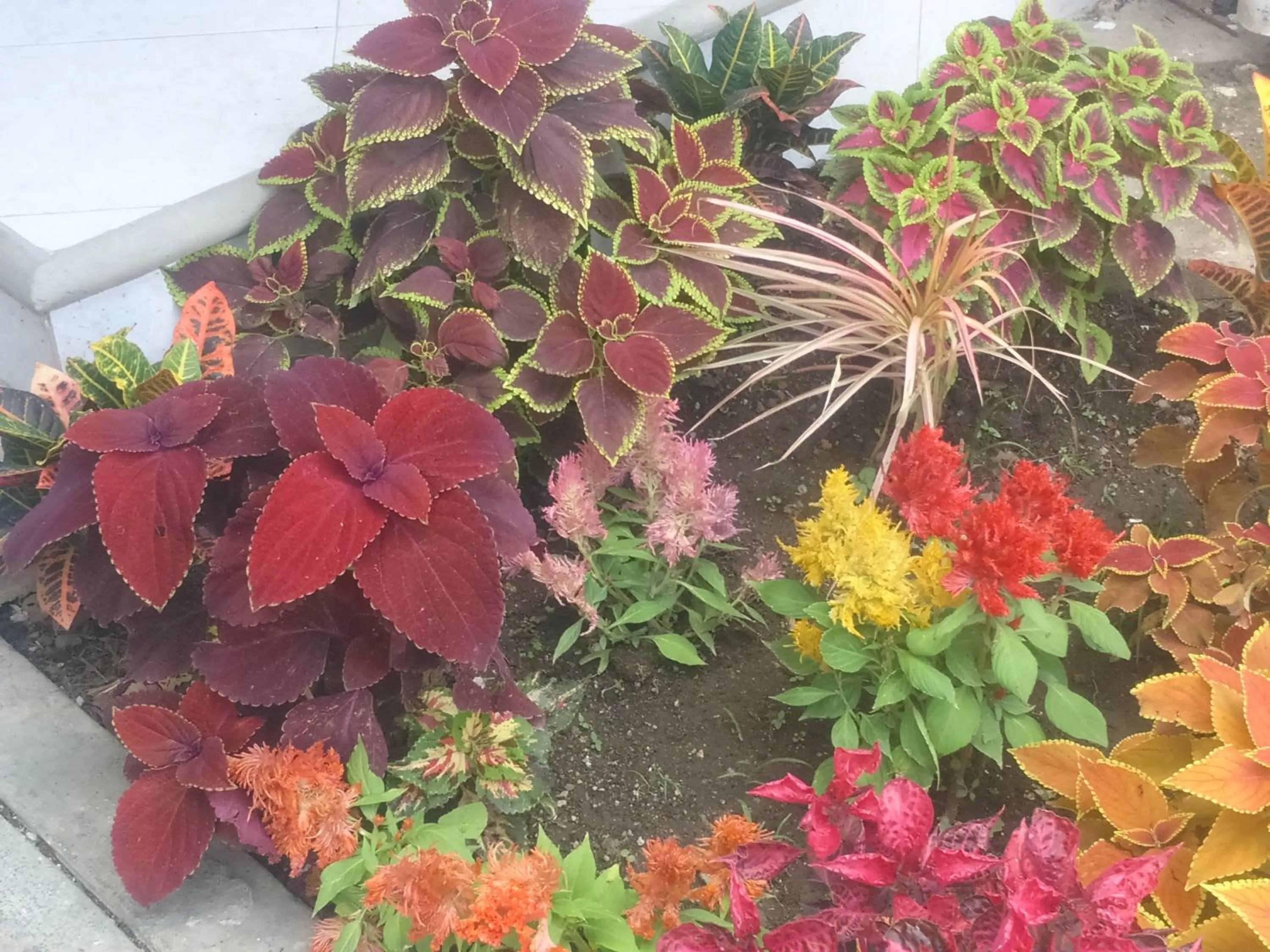 Lobby or reception in Desarrollo Turistico