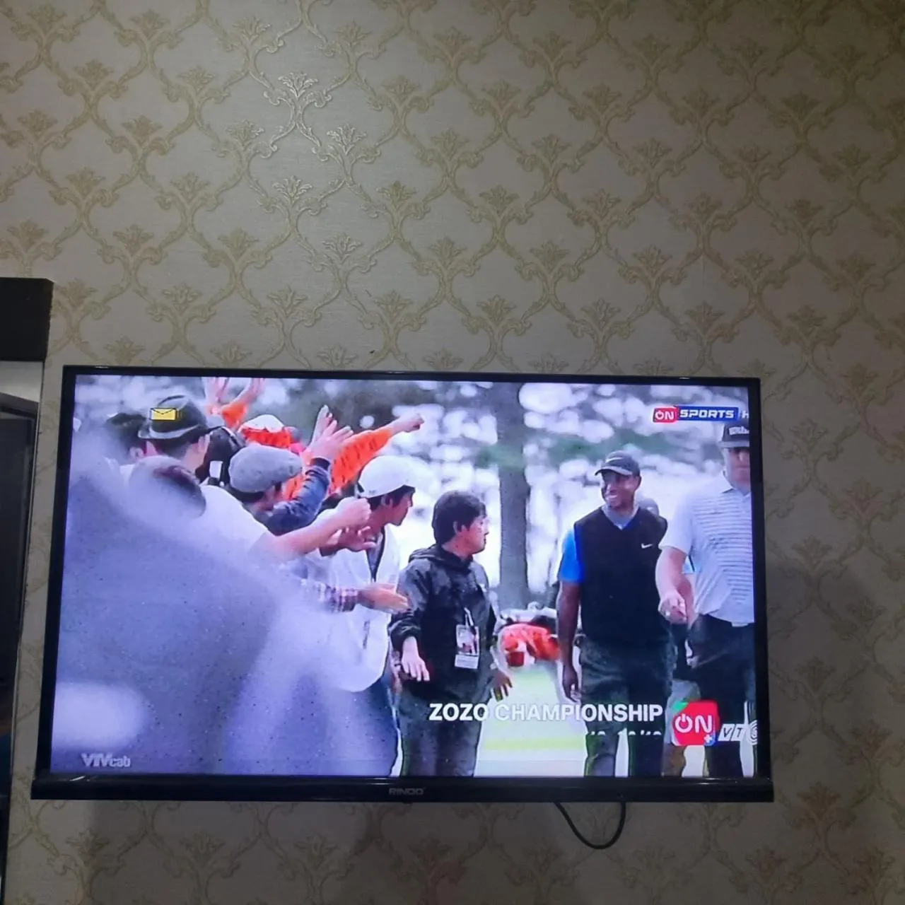 TV and multimedia in Cat Ba Violet Hotel