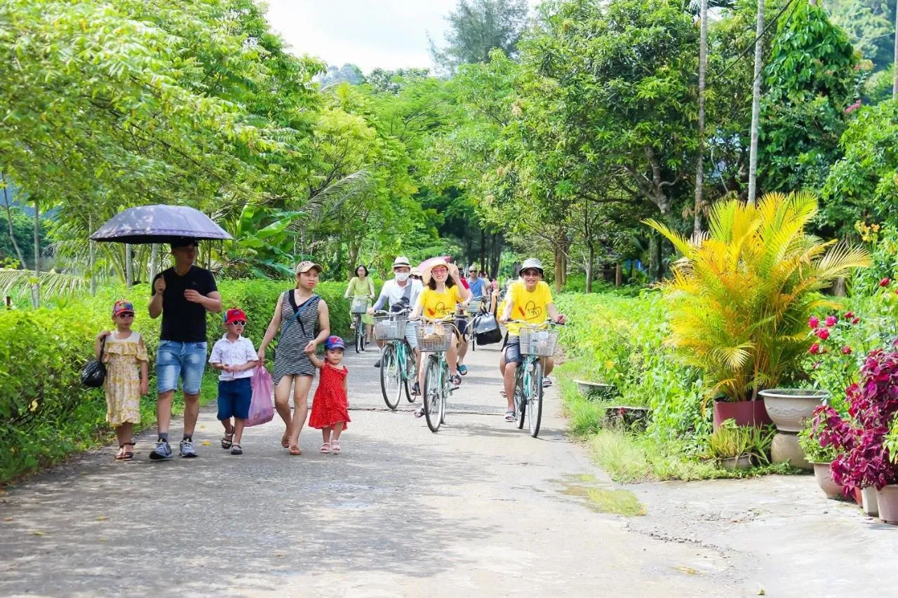 Spring in Cat Ba Violet Hotel