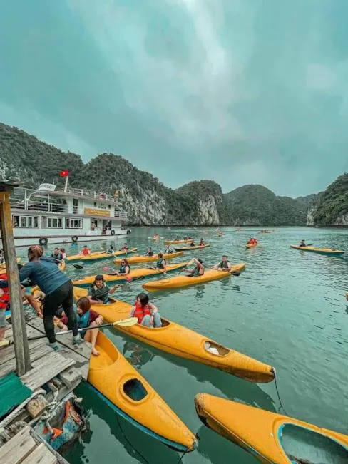Windsurfing in Cat Ba Violet Hotel