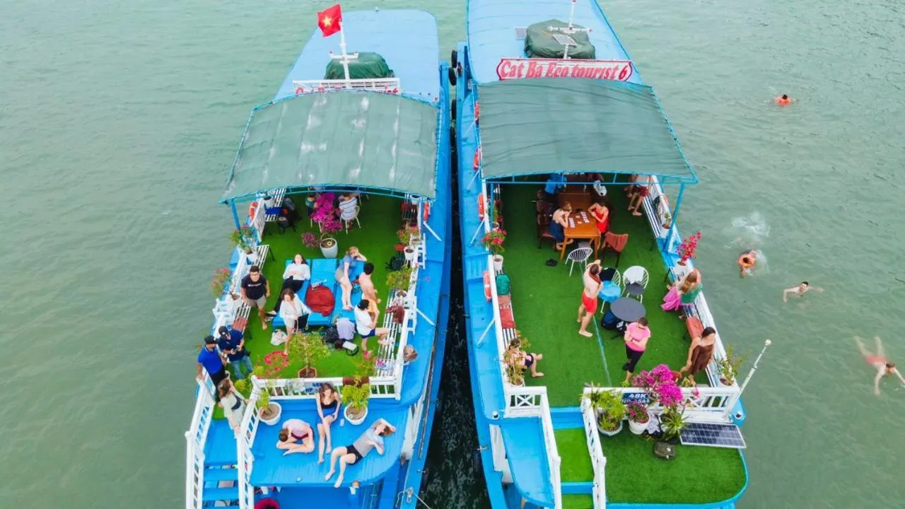 Day in Cat Ba Violet Hotel