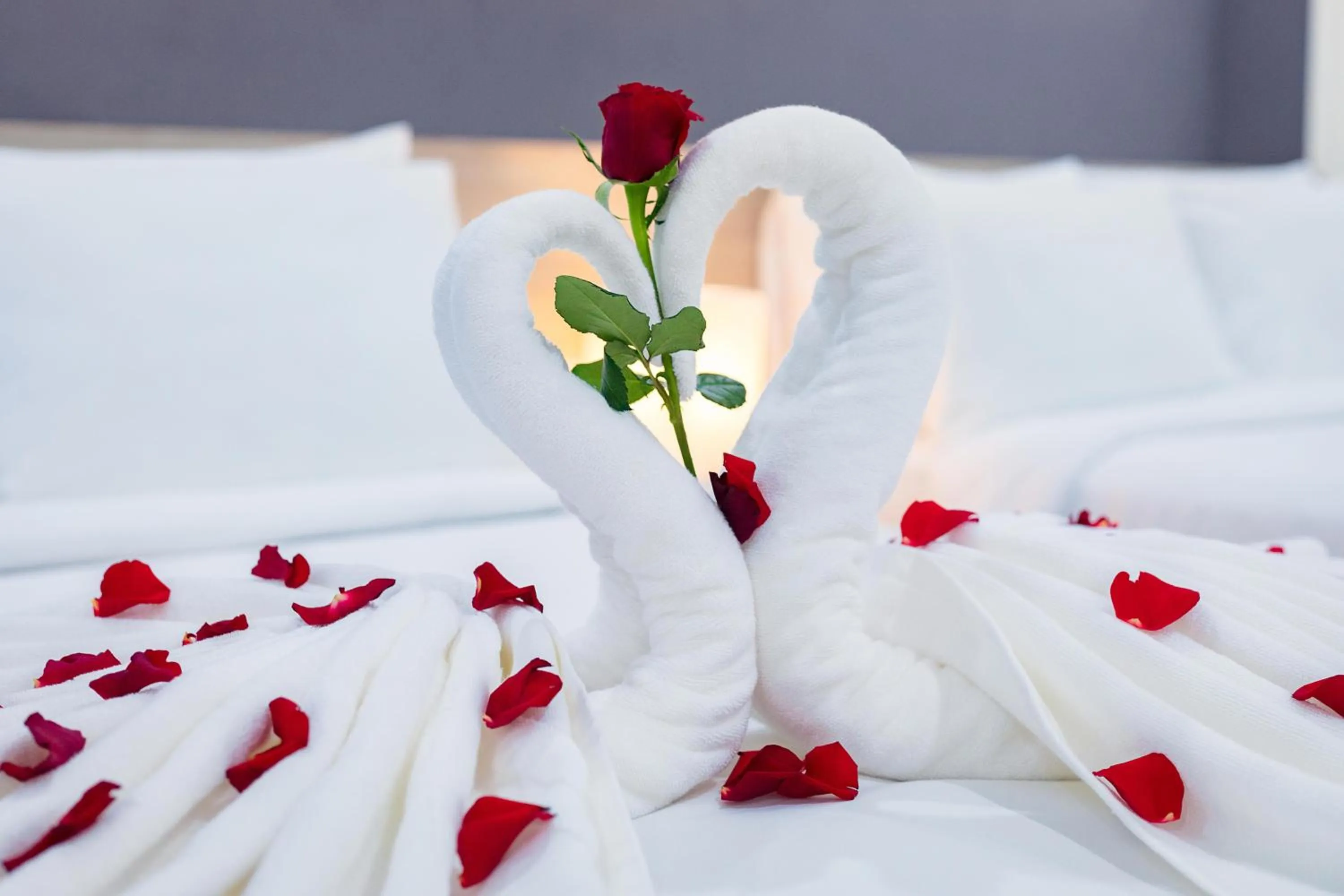 Decorative detail, Bed in Cat Ba Violet Hotel