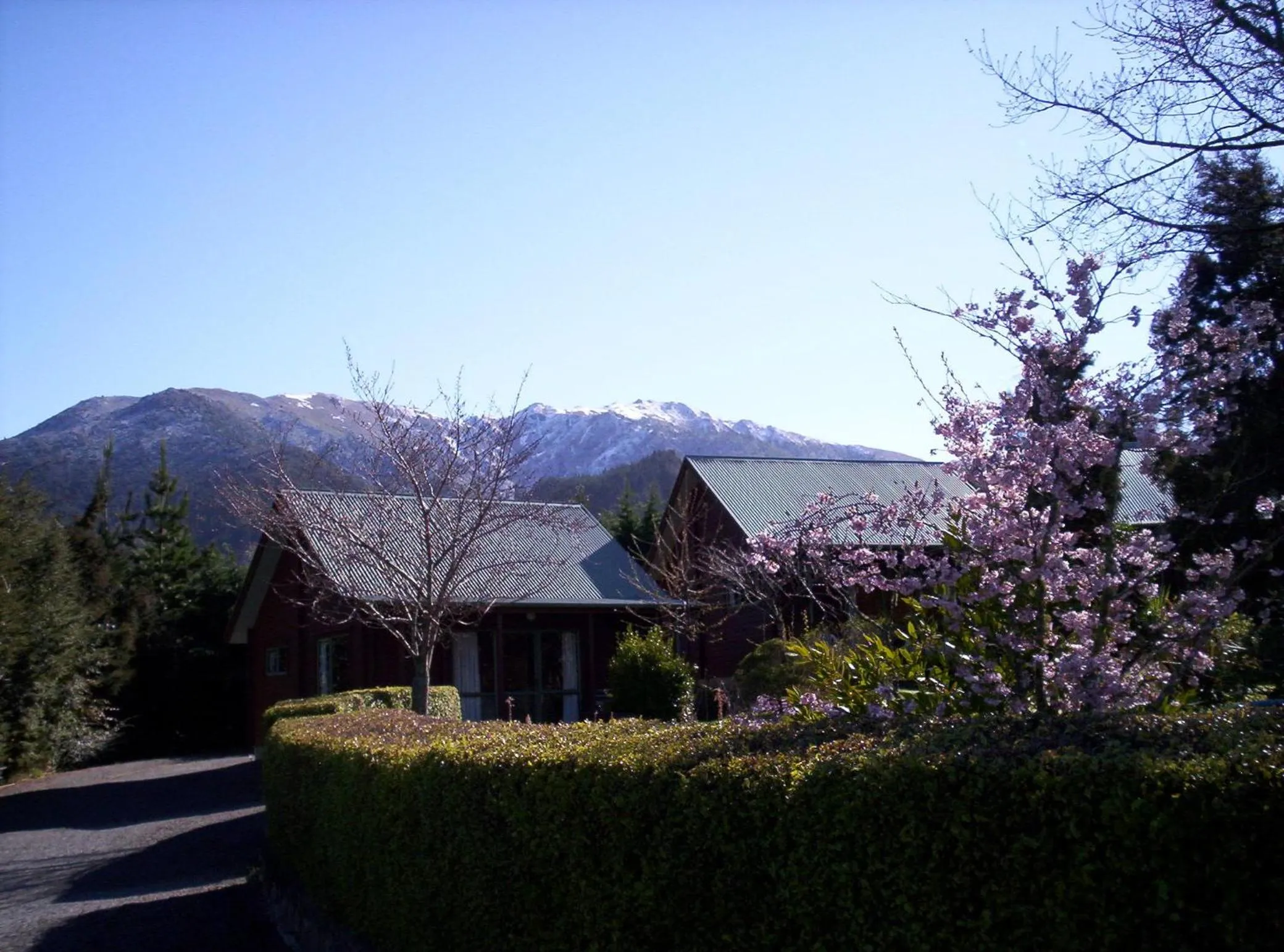 Facade/entrance in Forest Peak Motel