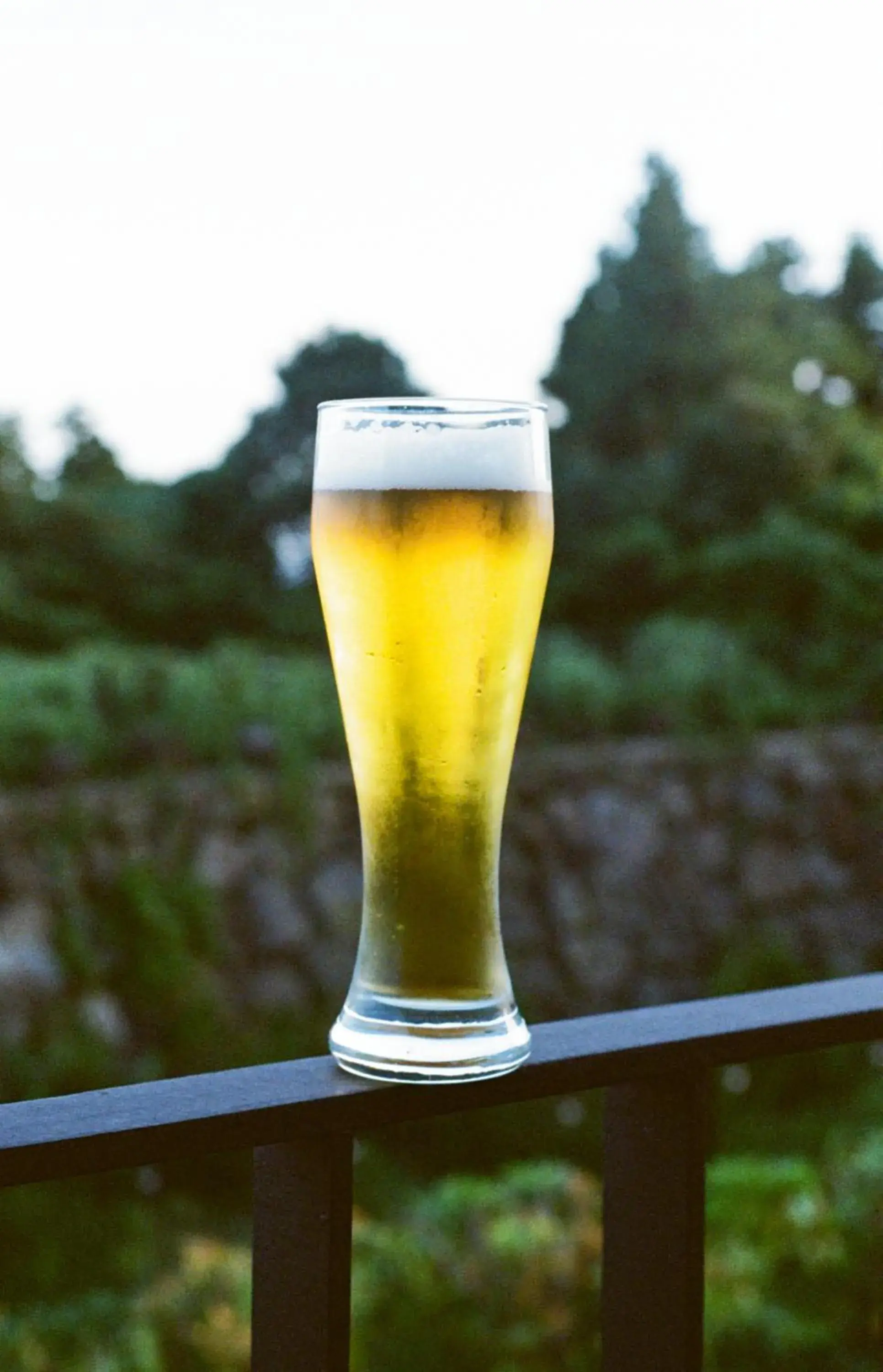 Food and drinks in Velum Resort Food and drinks in Velum Resort