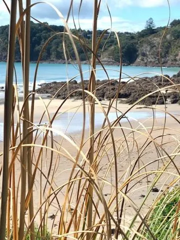 Oneroa Bay Villa Waiheke