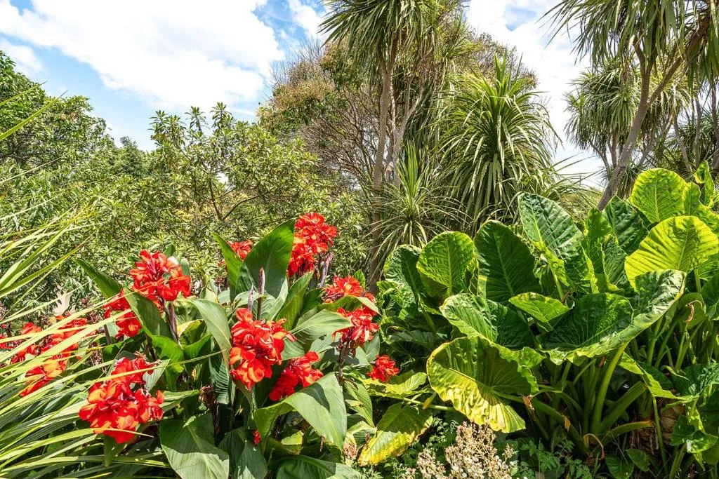 Oneroa Bay Villa Waiheke